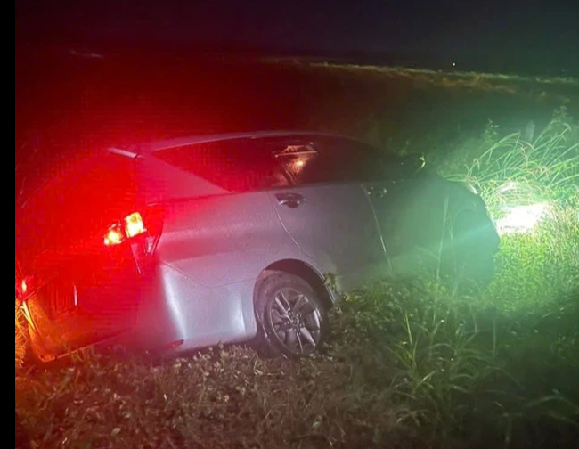 Tìm thấy biển số xanh trong xe ô tô của nhóm trộm chó chuyên nghiệp - Ảnh 2.