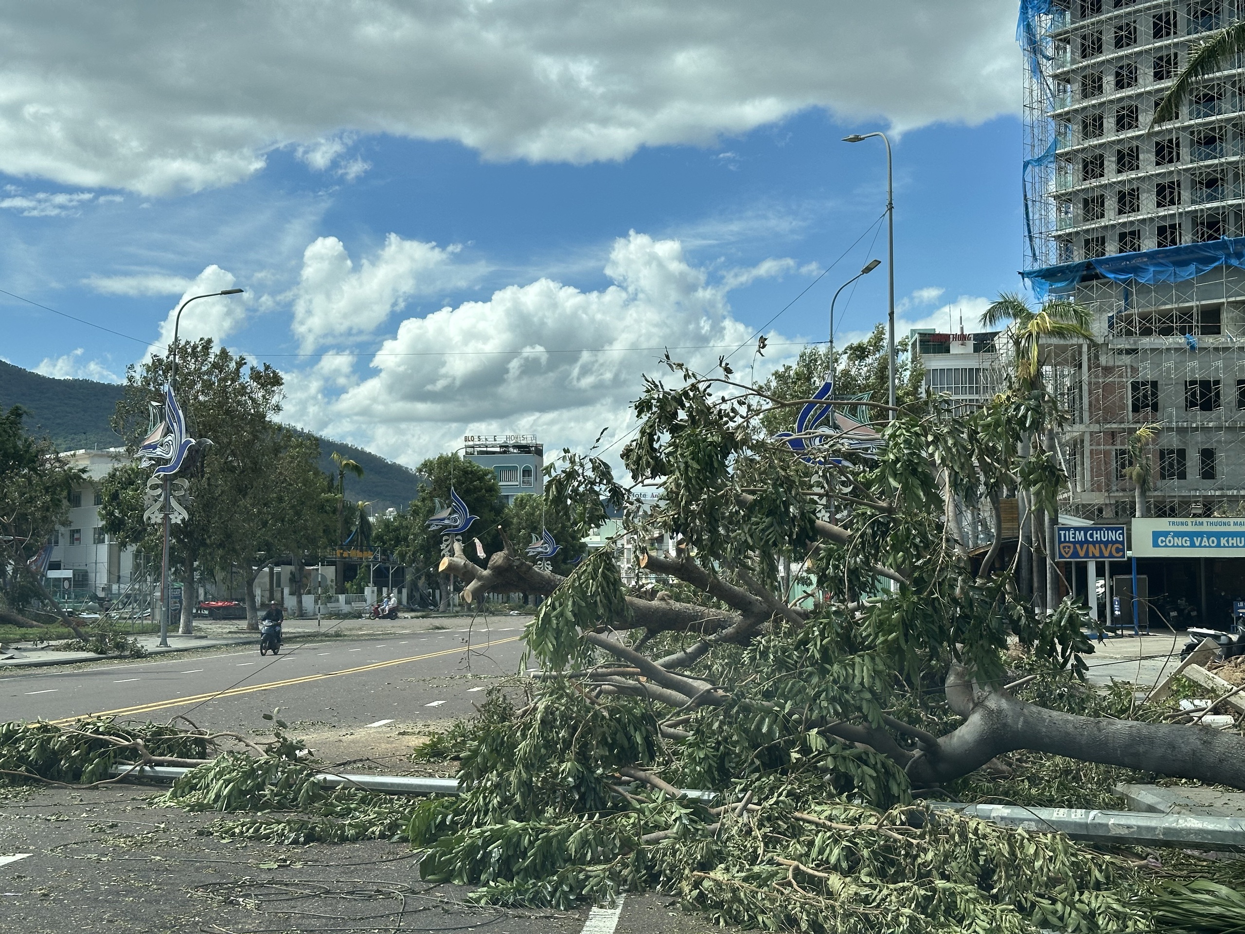 Gia Lai tan hoang sau bão số 13 - Ảnh 14.