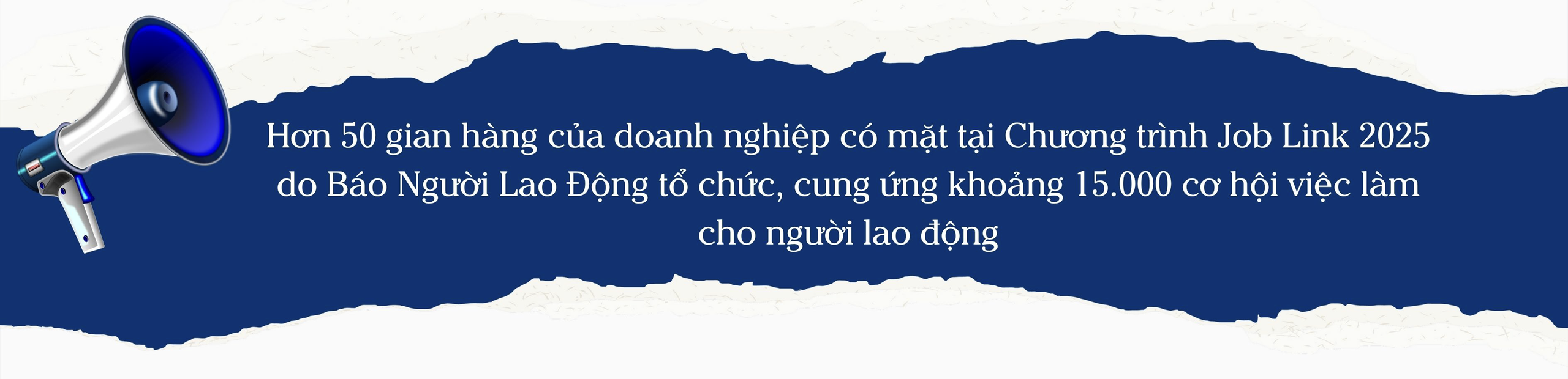 Job Link 2025: Kết nối nguồn nhân lực với nhà tuyển dụng - Ảnh 1.