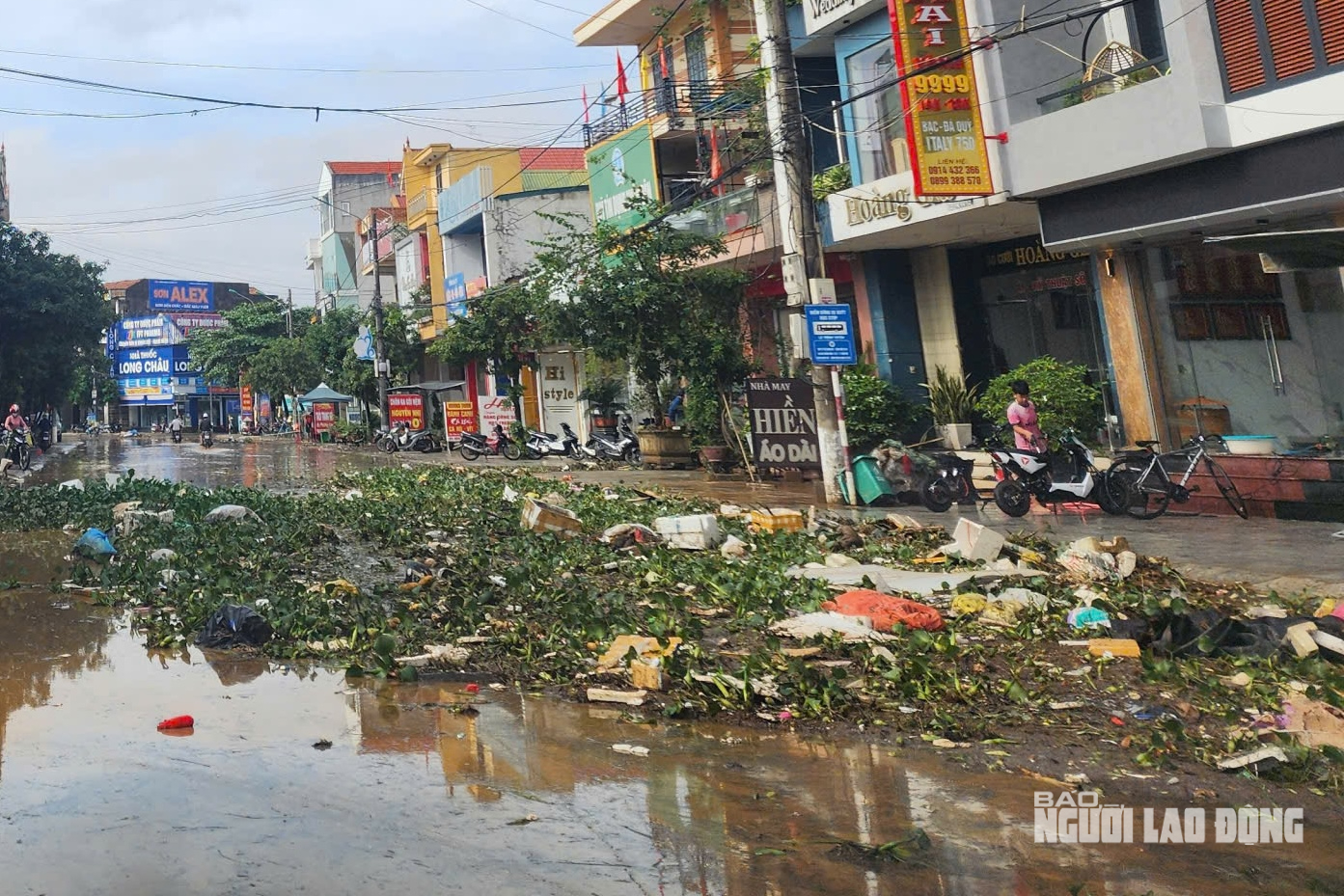 VIDEO: Cảnh bùn rác phủ kín làng quê sau lũ ở Quảng Trị - Ảnh 2.
