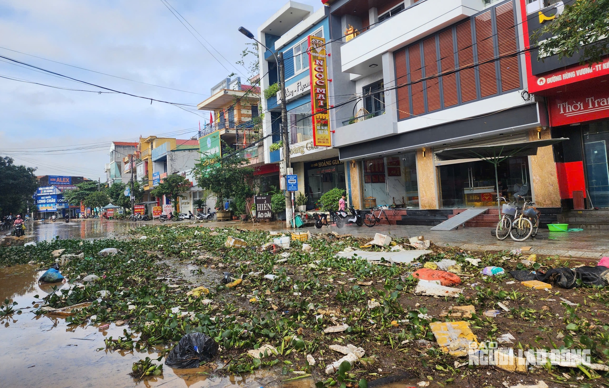 VIDEO: Cảnh bùn rác phủ kín làng quê sau lũ ở Quảng Trị - Ảnh 3.