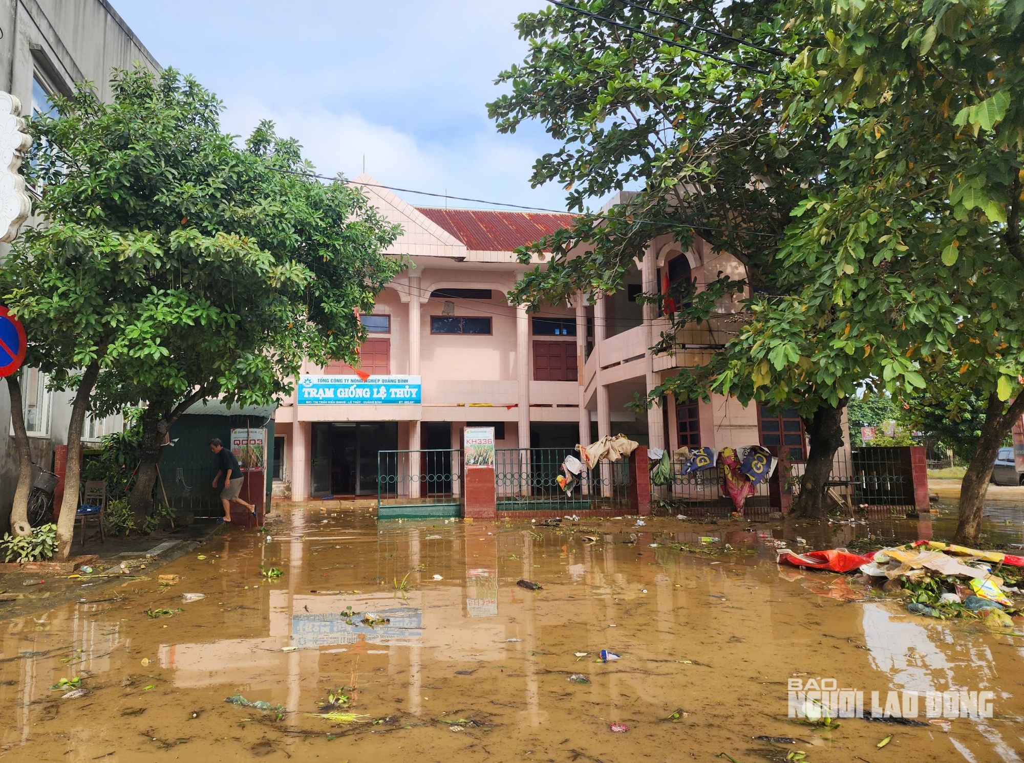 VIDEO: Cảnh bùn rác phủ kín làng quê sau lũ ở Quảng Trị - Ảnh 7.