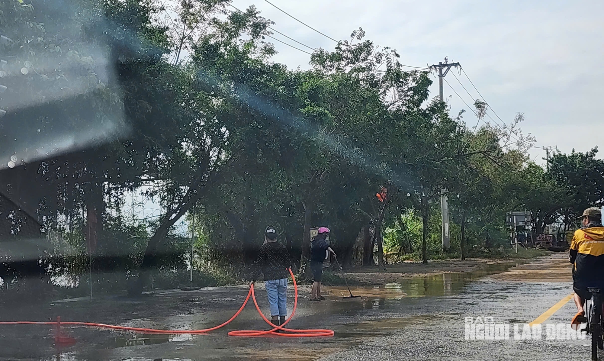 VIDEO: Cảnh bùn rác phủ kín làng quê sau lũ ở Quảng Trị - Ảnh 9.