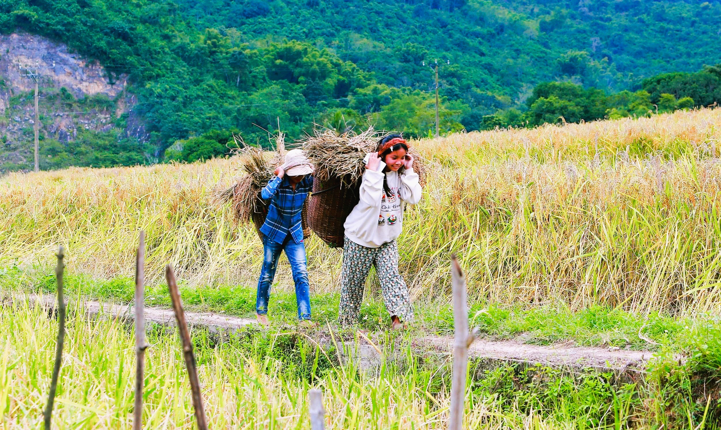 Loại cây đặc sản vào vụ, nhuộm vàng bản làng vùng cao xứ Thanh - Ảnh 8.