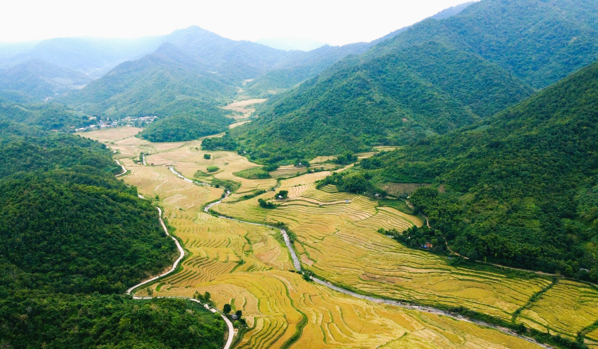 Loại cây đặc sản vào vụ, nhuộm vàng bản làng vùng cao xứ Thanh - Ảnh 10.