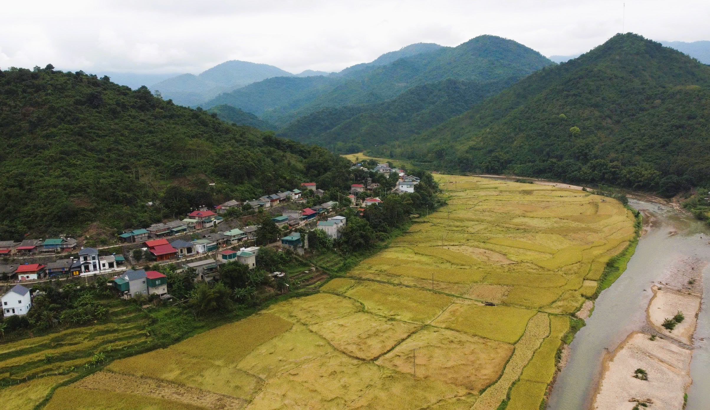 Loại cây đặc sản vào vụ, nhuộm vàng bản làng vùng cao xứ Thanh - Ảnh 9.