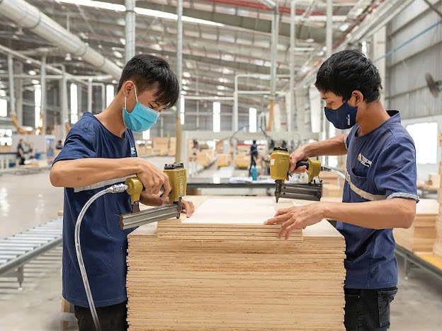 Ngành gỗ chuyển đổi kép để thoát gia công - Ảnh 1.