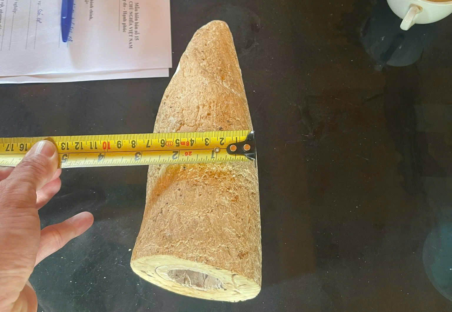 - Ảnh 1. - Ảnh 1.