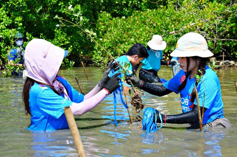 UOB Việt Nam khởi động trồng 10.000 cây rừng phòng hộ Cà Mau - Ảnh 2.