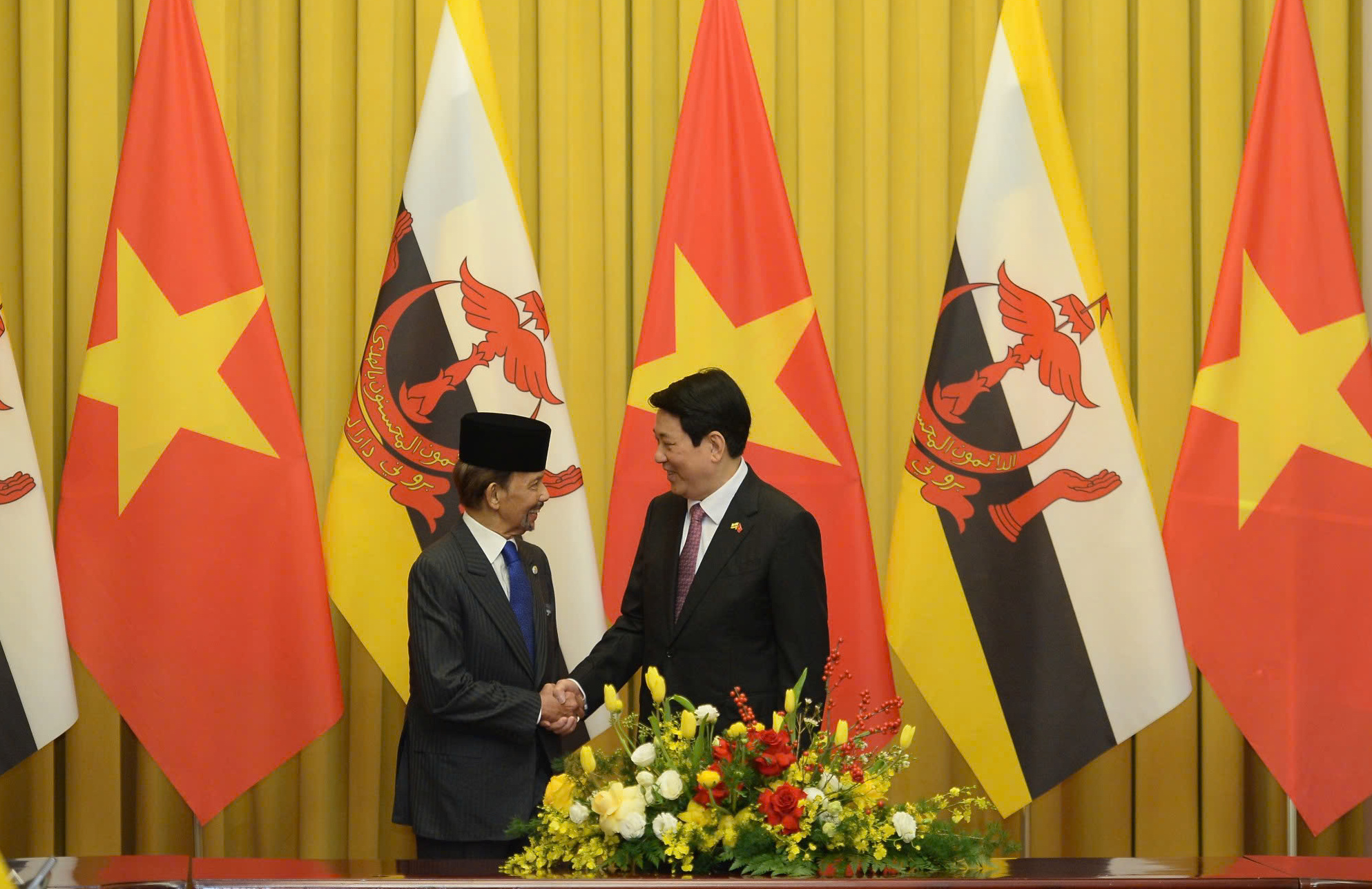 Chủ tịch nước Lương Cường chủ trì lễ đón chính thức Quốc vương Brunei - Ảnh 9.