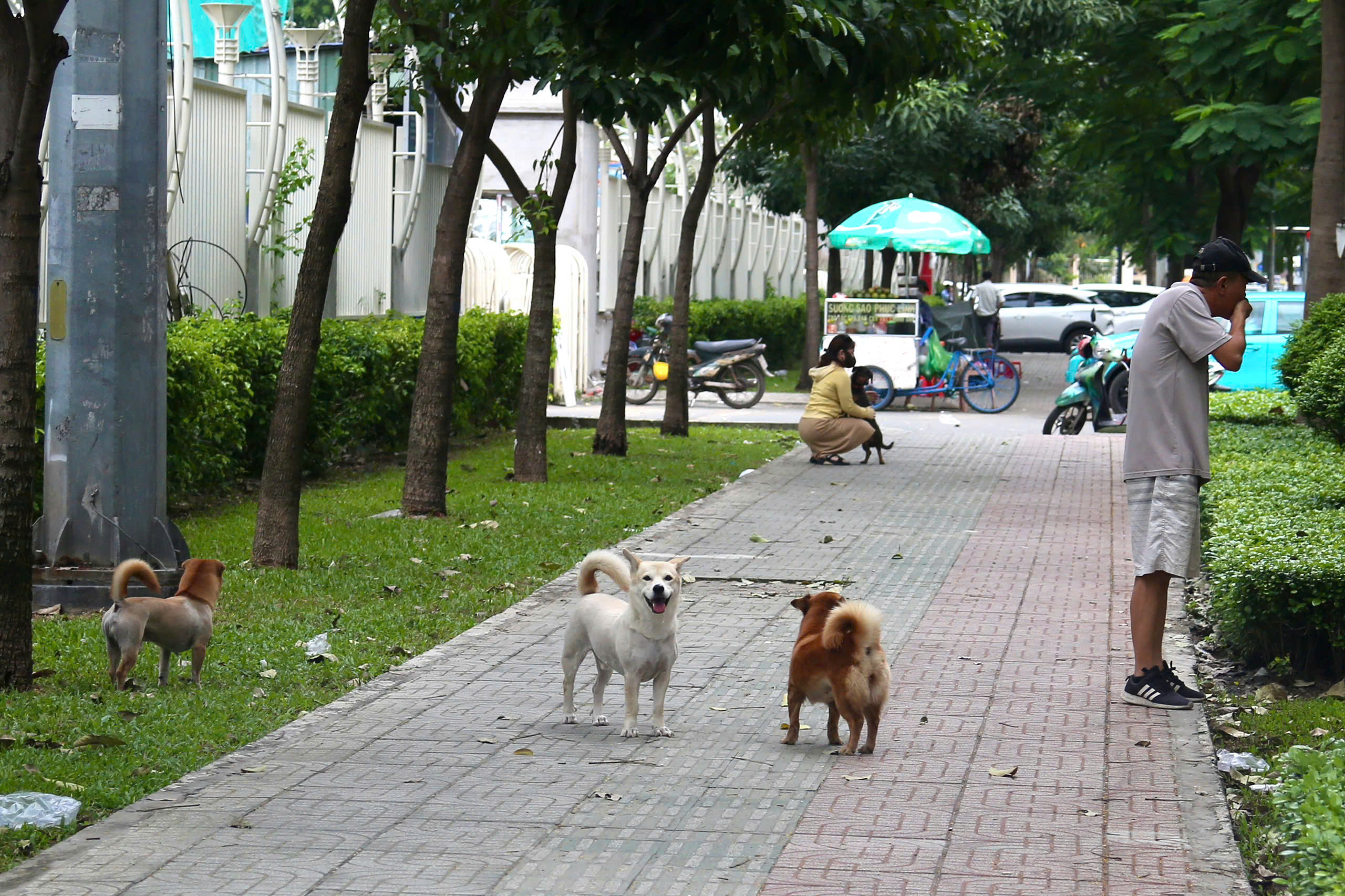 - Ảnh 13. - Ảnh 13.