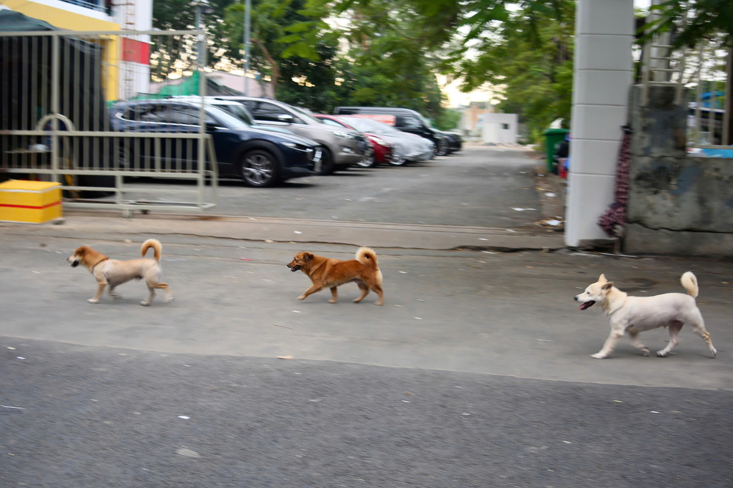 - Ảnh 7. - Ảnh 7.