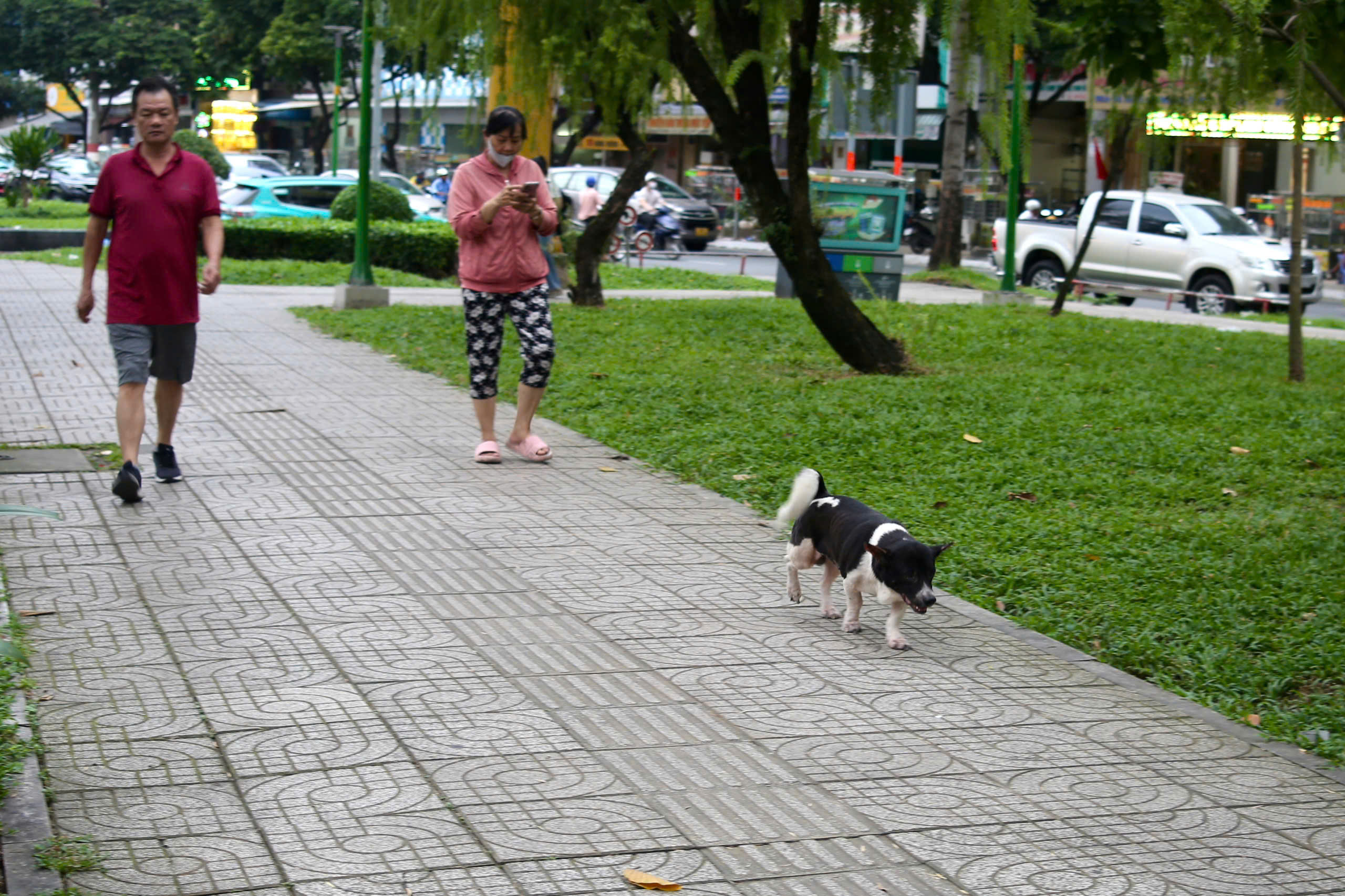 - Ảnh 12. - Ảnh 12.