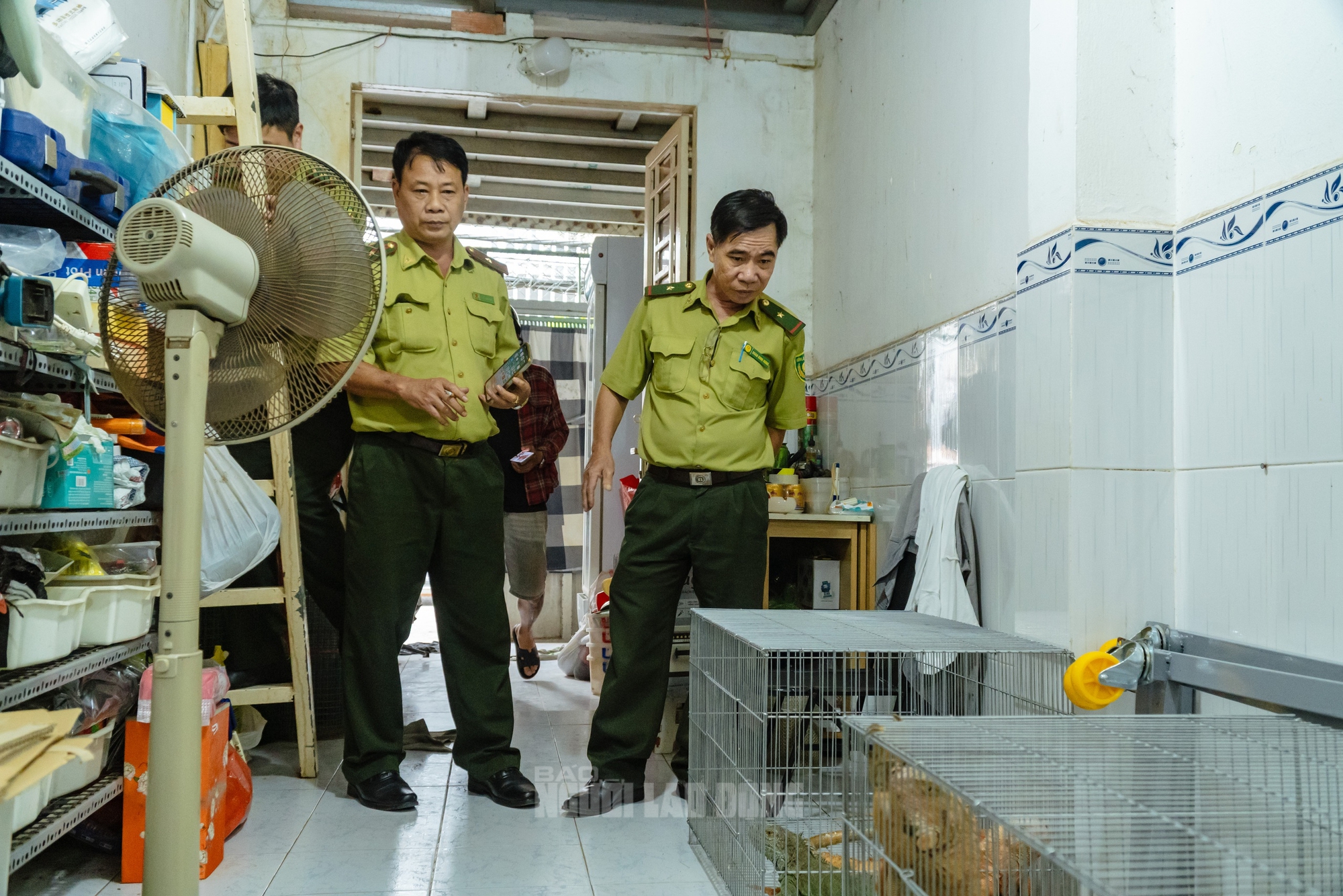 VIDEO: Đột kích căn nhà ở Bình Thạnh, phát hiện 202 con kỳ nhông nuôi nhốt trái phép - Ảnh 1.