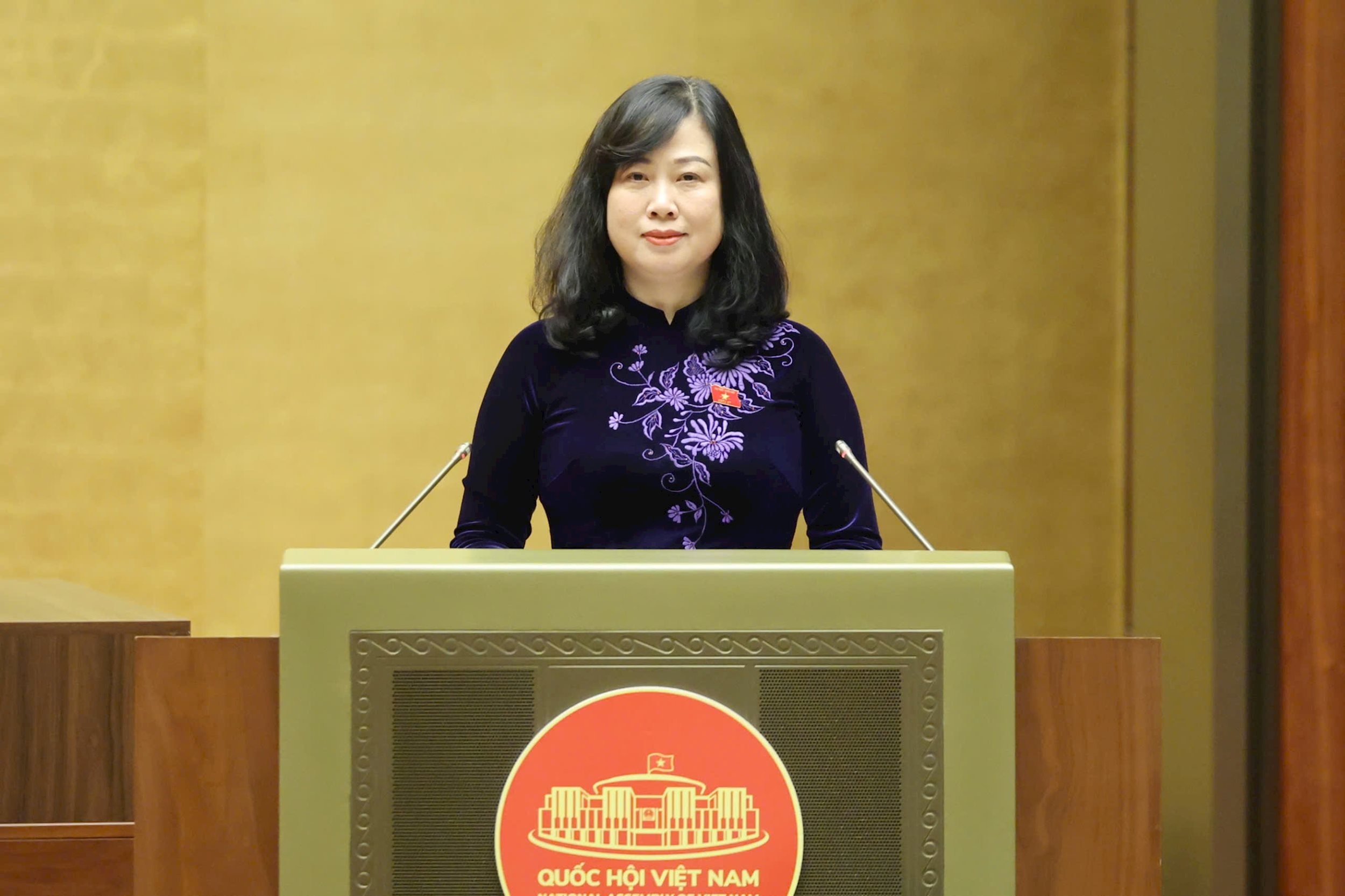 Phụ nữ sinh đủ 2 con được hỗ trợ tài chính, nghỉ thai sản 7 tháng - Ảnh 1.