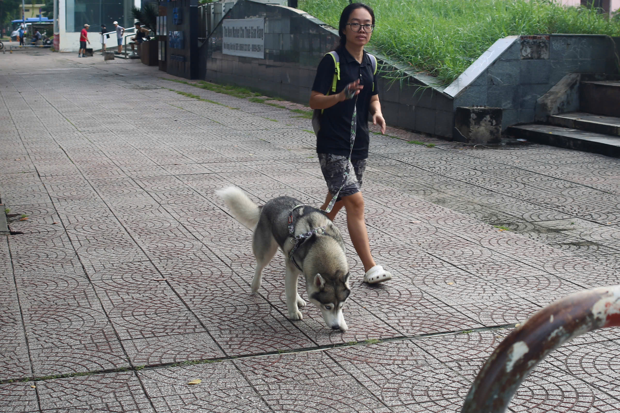 - Ảnh 3. - Ảnh 3.