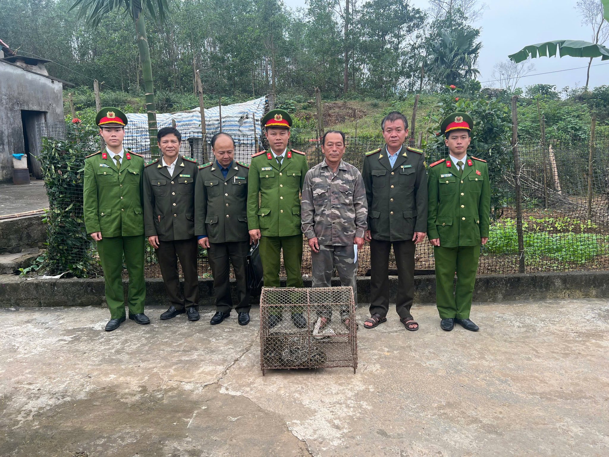 Liên tiếp phát hiện trăn đất “khủng” bò lạc vào nhà dân  - Ảnh 2.