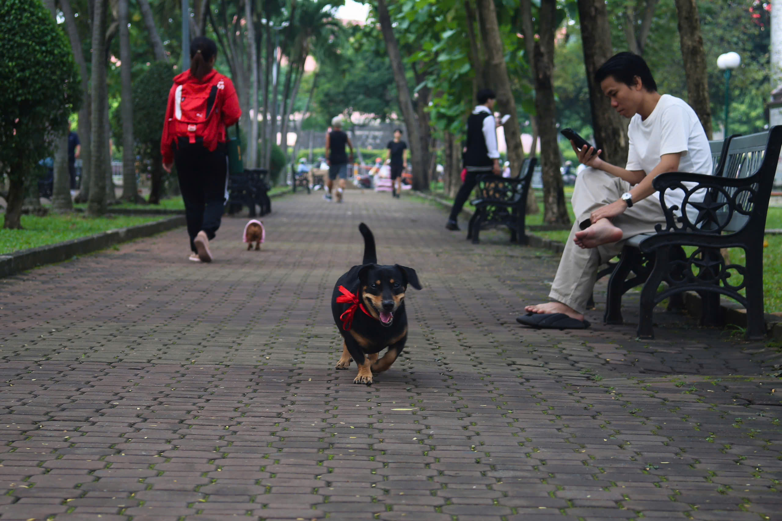 - Ảnh 11. - Ảnh 11.