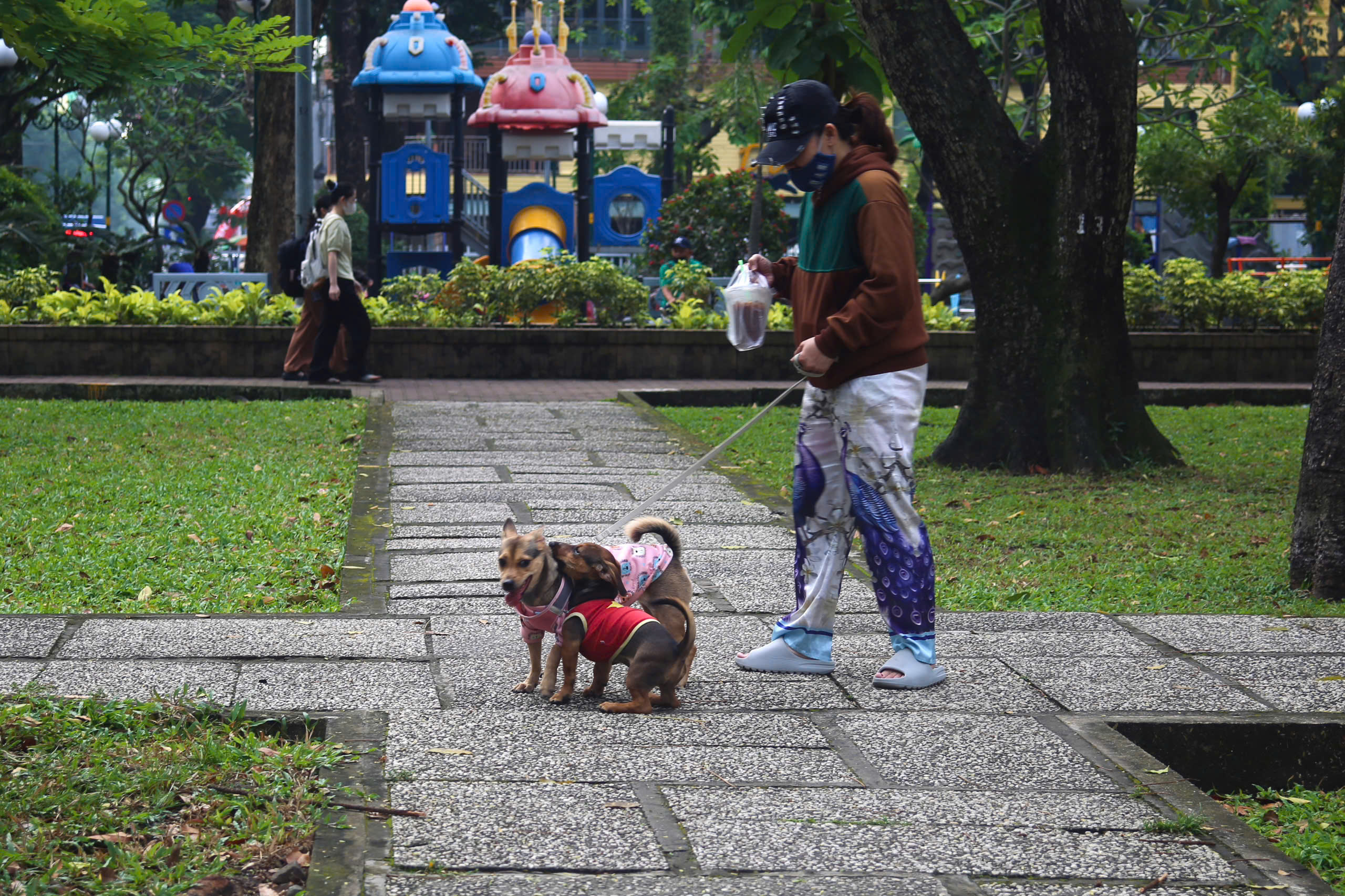 Thông tin nổi bật tại TPHCM ngày 11-12: - Ảnh 3.