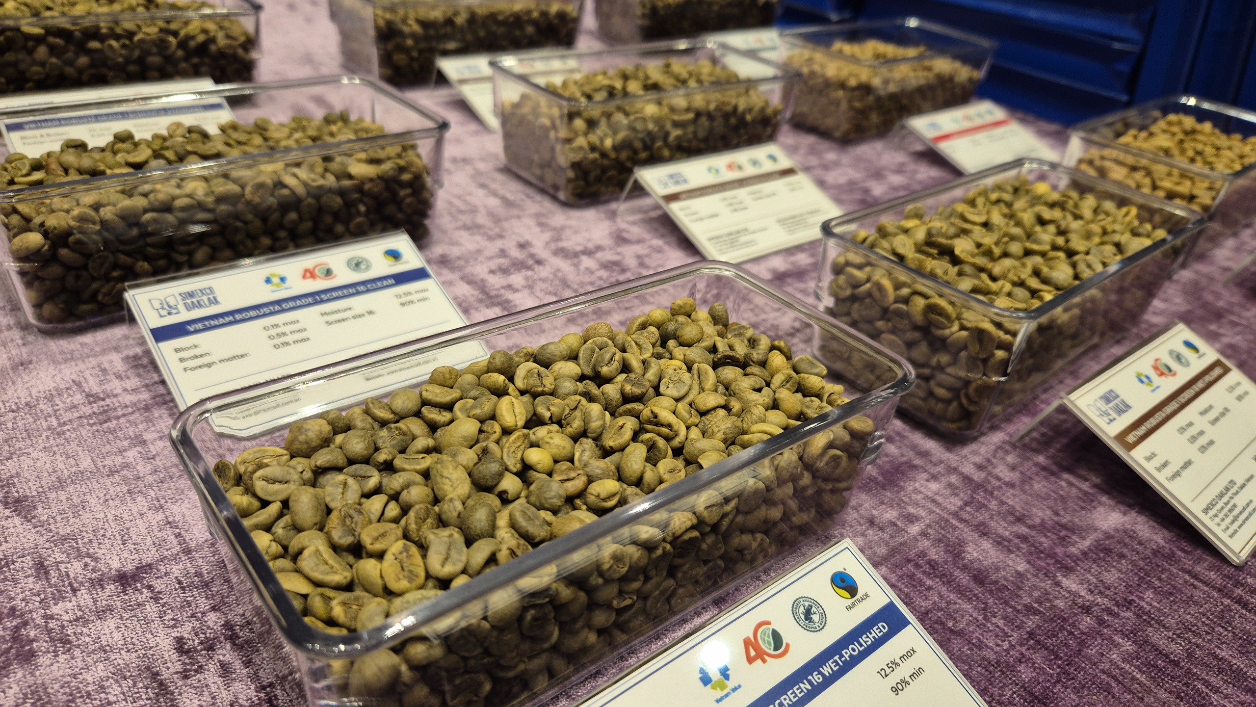 Giá cà phê hôm nay 11 - 12 tăng , nông dân không mở rộng diện tích trồng - Ảnh 2. Giá cà phê hôm nay 11 - 12 tăng , nông dân không mở rộng diện tích trồng - Ảnh 2.