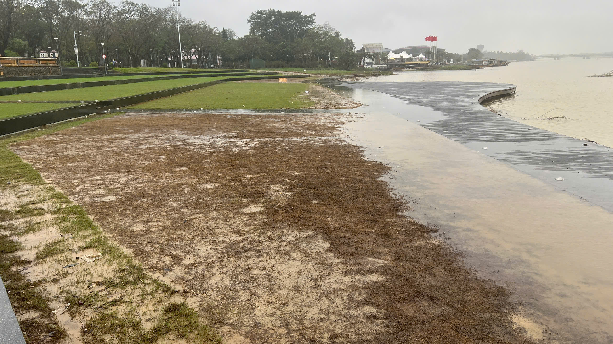 - Ảnh 4. - Ảnh 4.