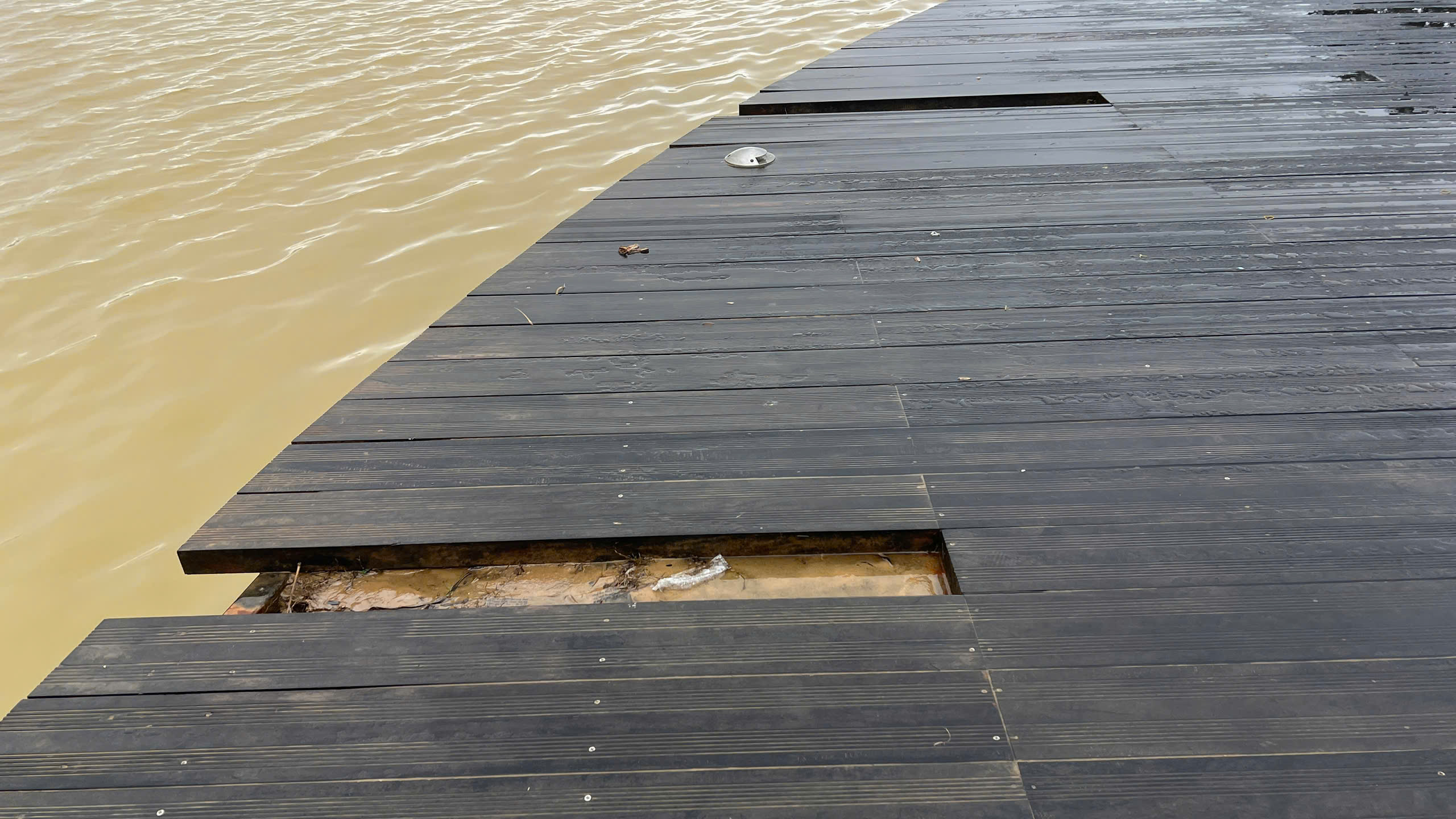 - Ảnh 6. - Ảnh 6.