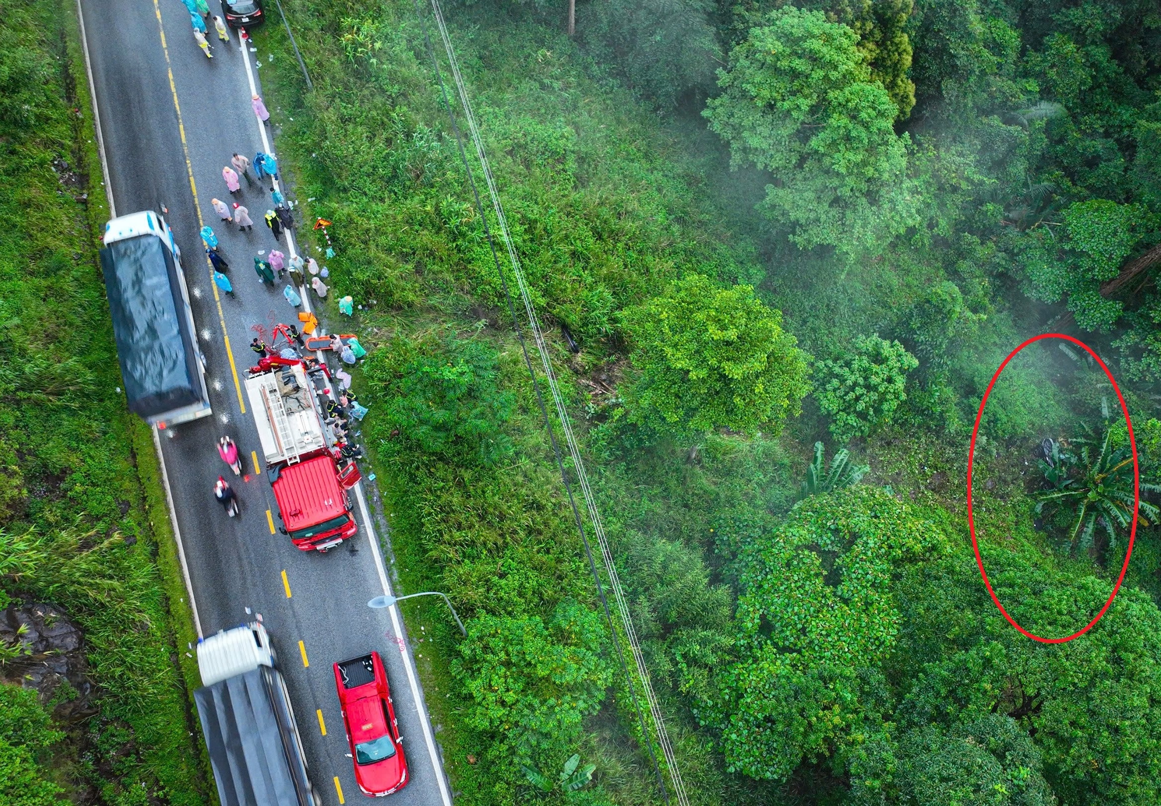 Truy tố người phụ nữ đầu độc nhân tình bằng xyanua - Ảnh 1.