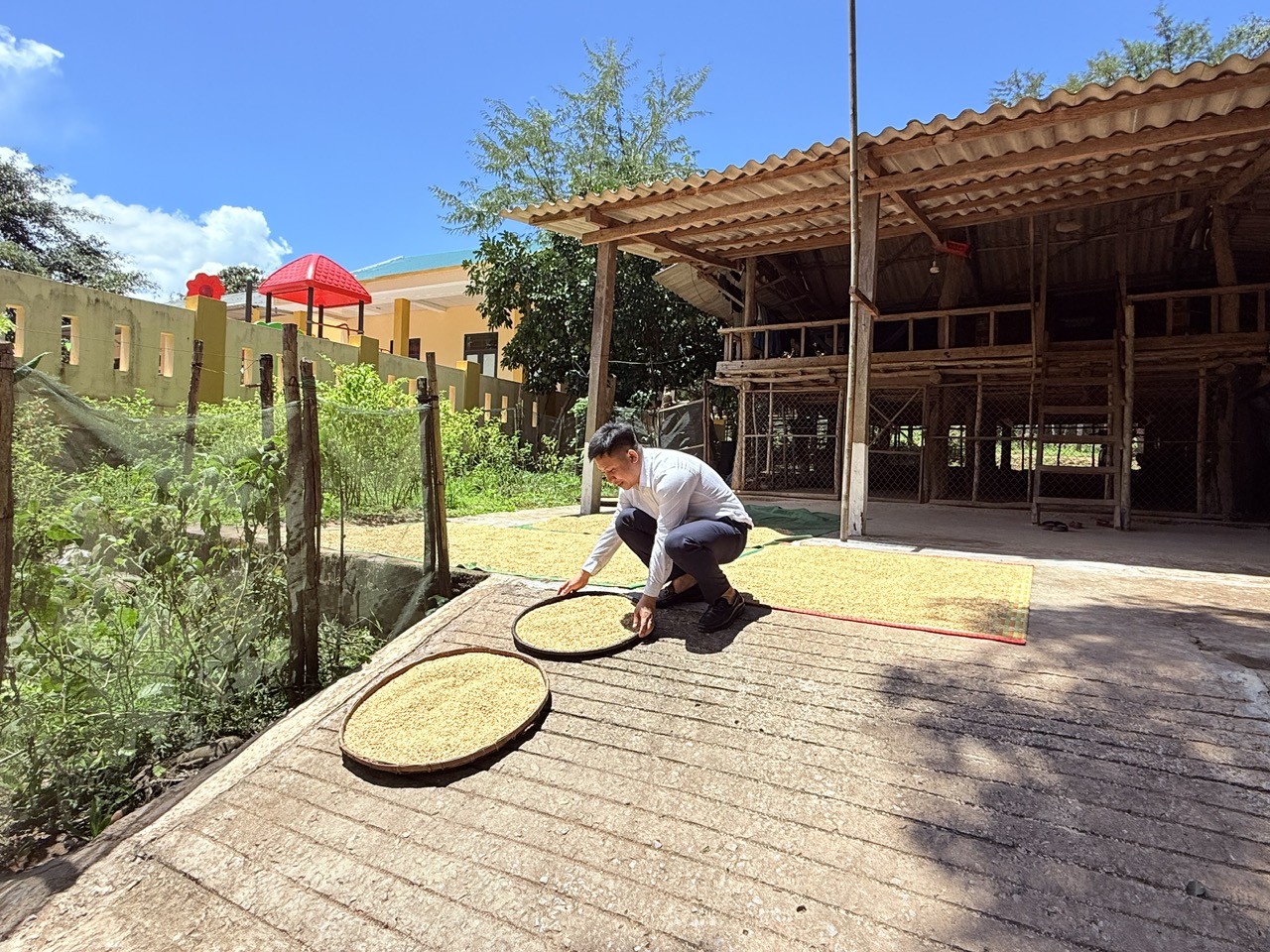 Thoát nghèo nhờ sinh kế dưới tán rừng Trường Sơn - Ảnh 3.