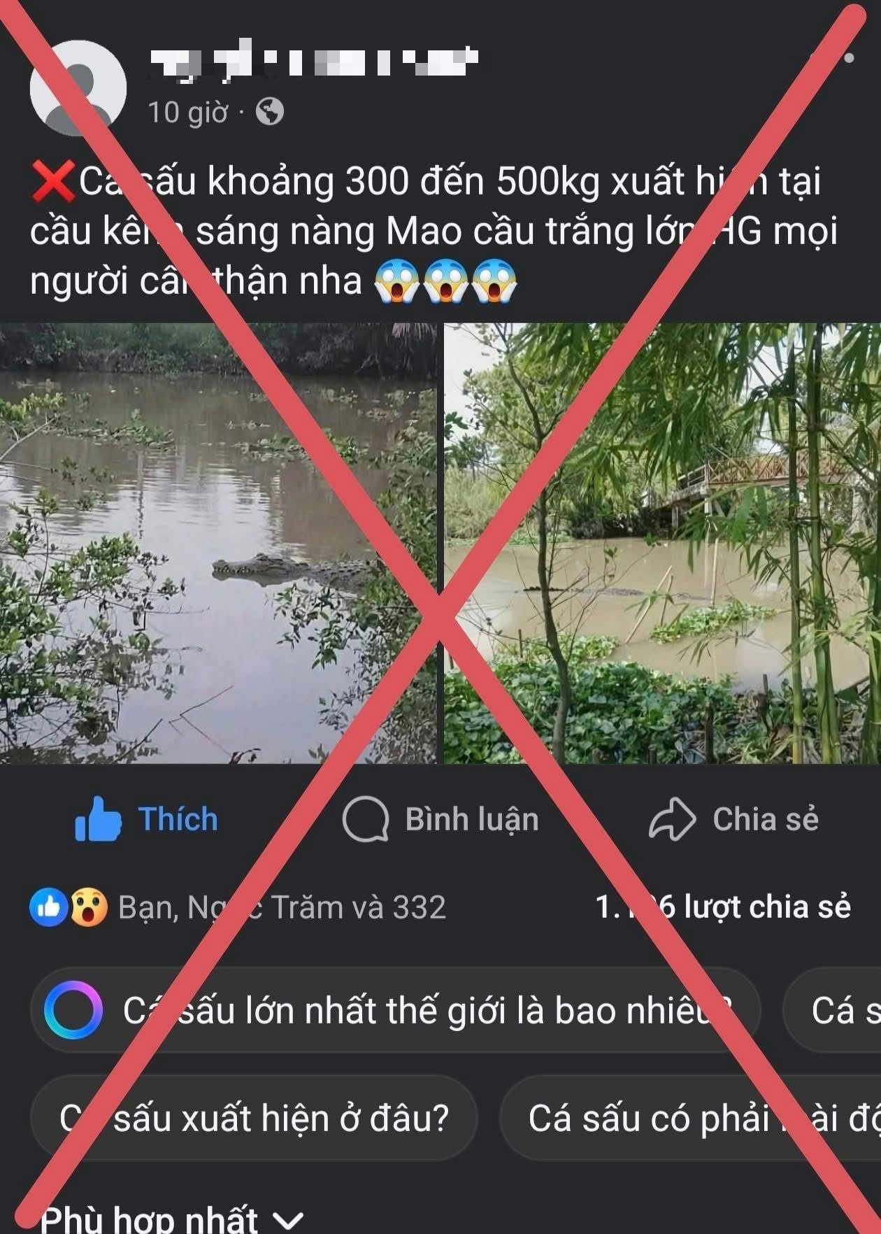 Tin giả cá sấu "khủng" xuất hiện gây hoang mang thật ở Cần Thơ - Ảnh 1.