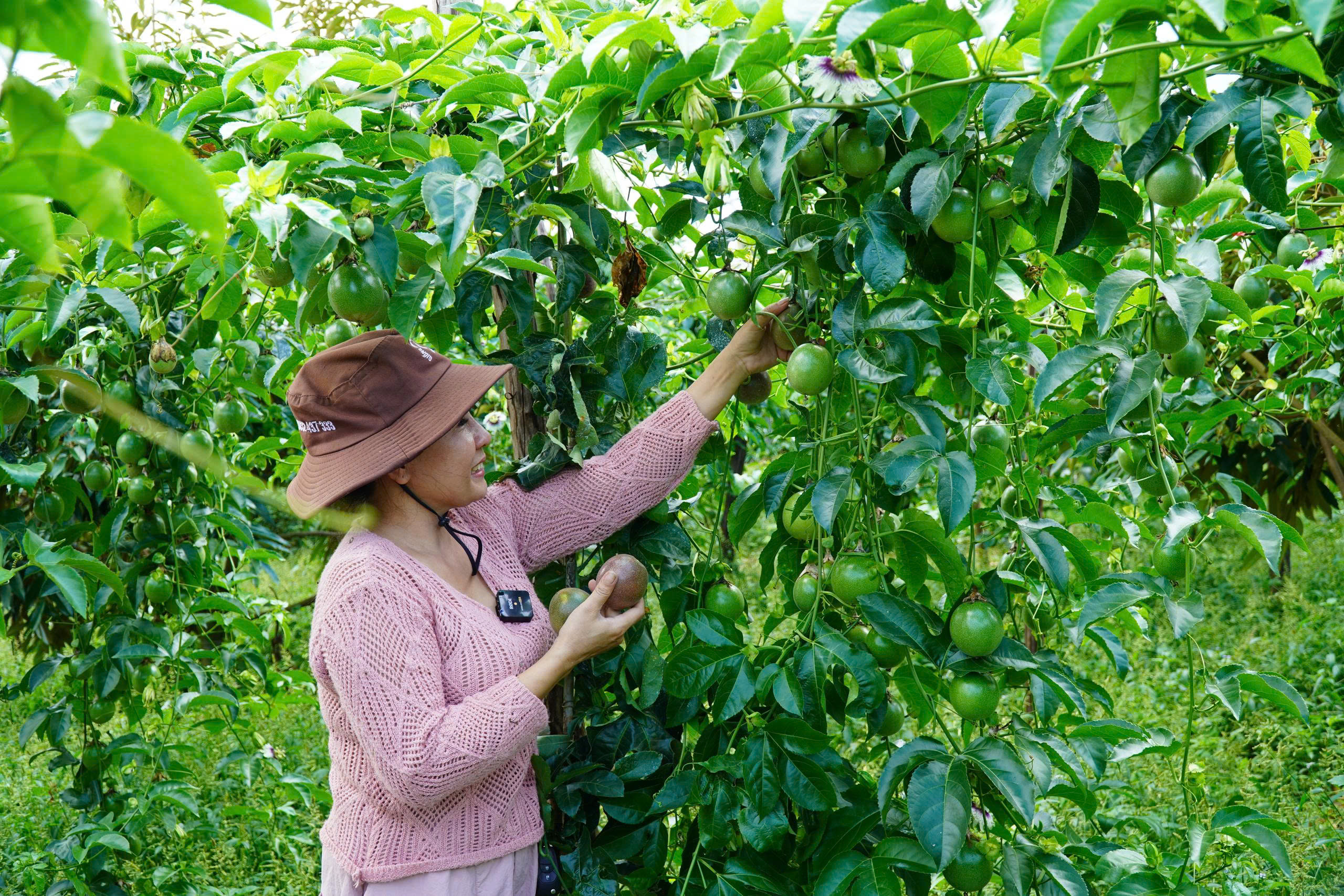 - Ảnh 3. - Ảnh 3.