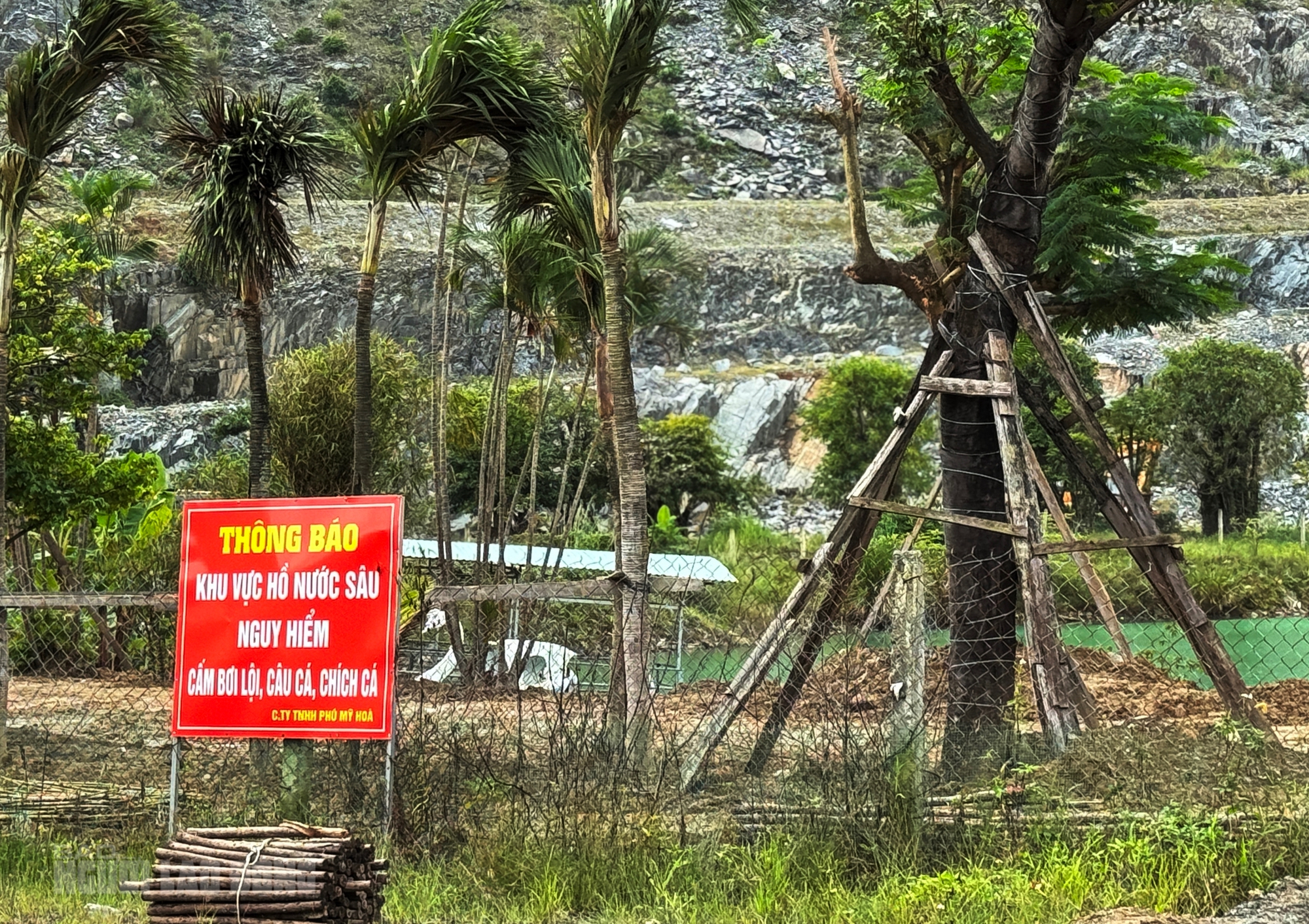 - Ảnh 8. - Ảnh 8.