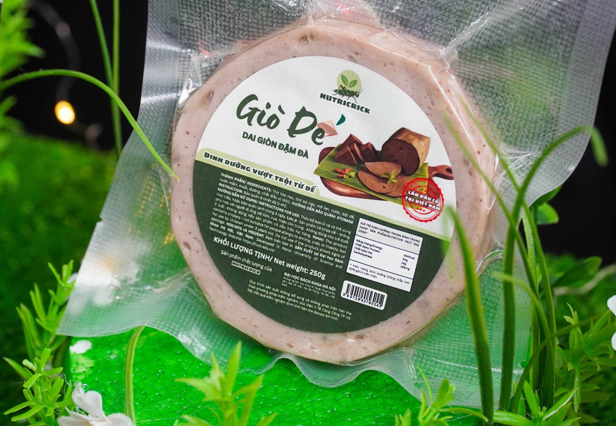 Sinh viên chen chân thử giò chả, kho quẹt, bánh quy làm từ dế - Ảnh 4.