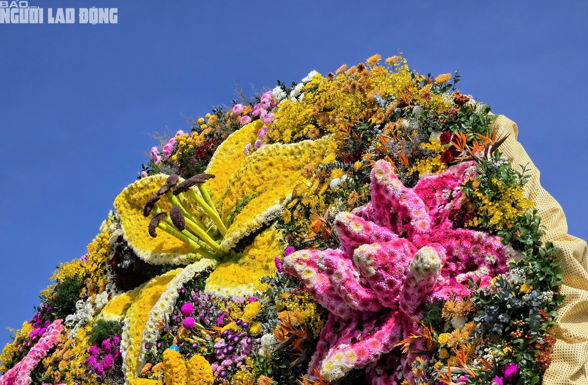 - រូបថតទី ៥។ - Ảnh 5.