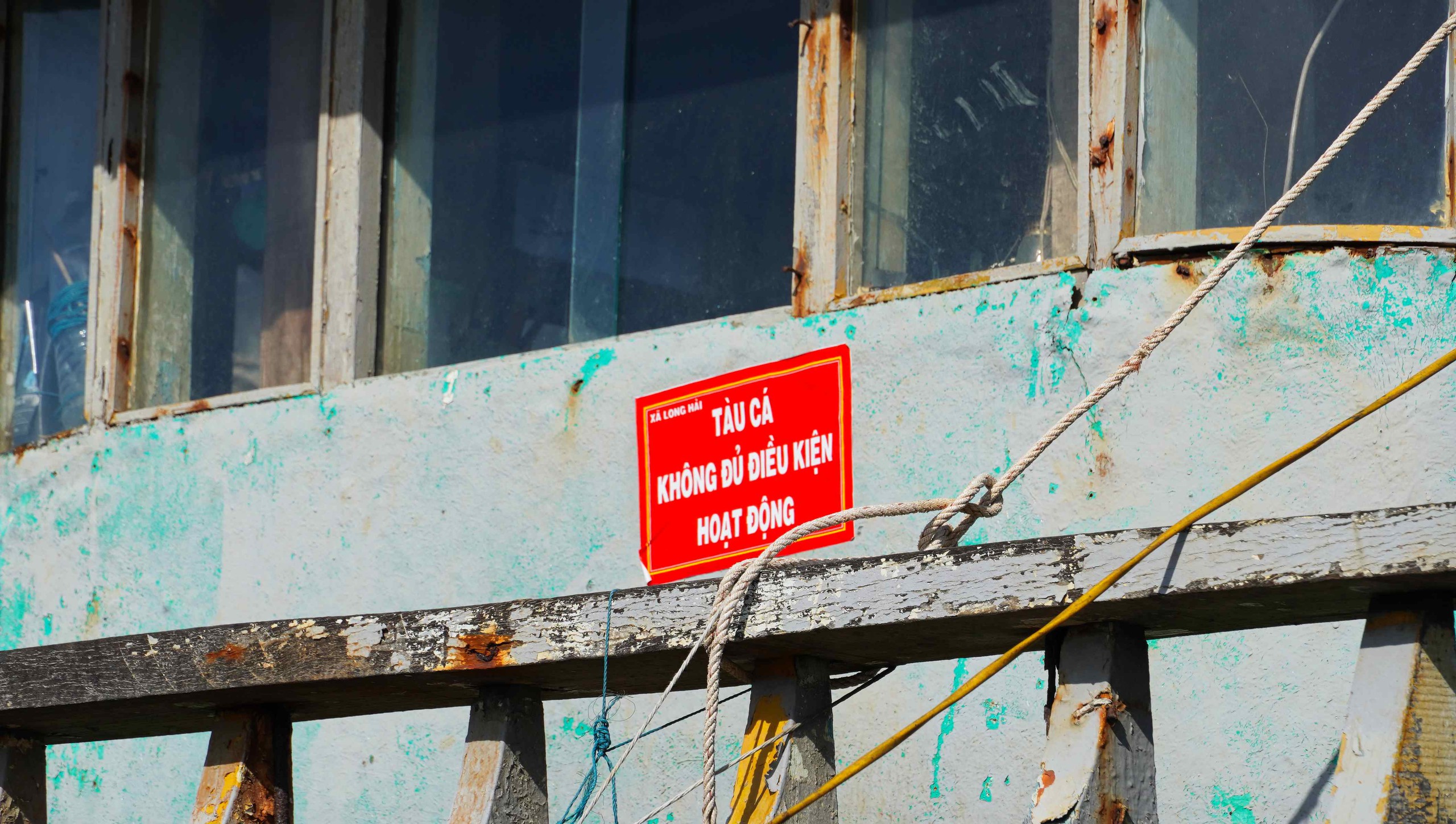 Đoàn Công tác của Thanh tra Chính phủ làm việc về chống khai thác IUU tại TPHCM - Ảnh 3.