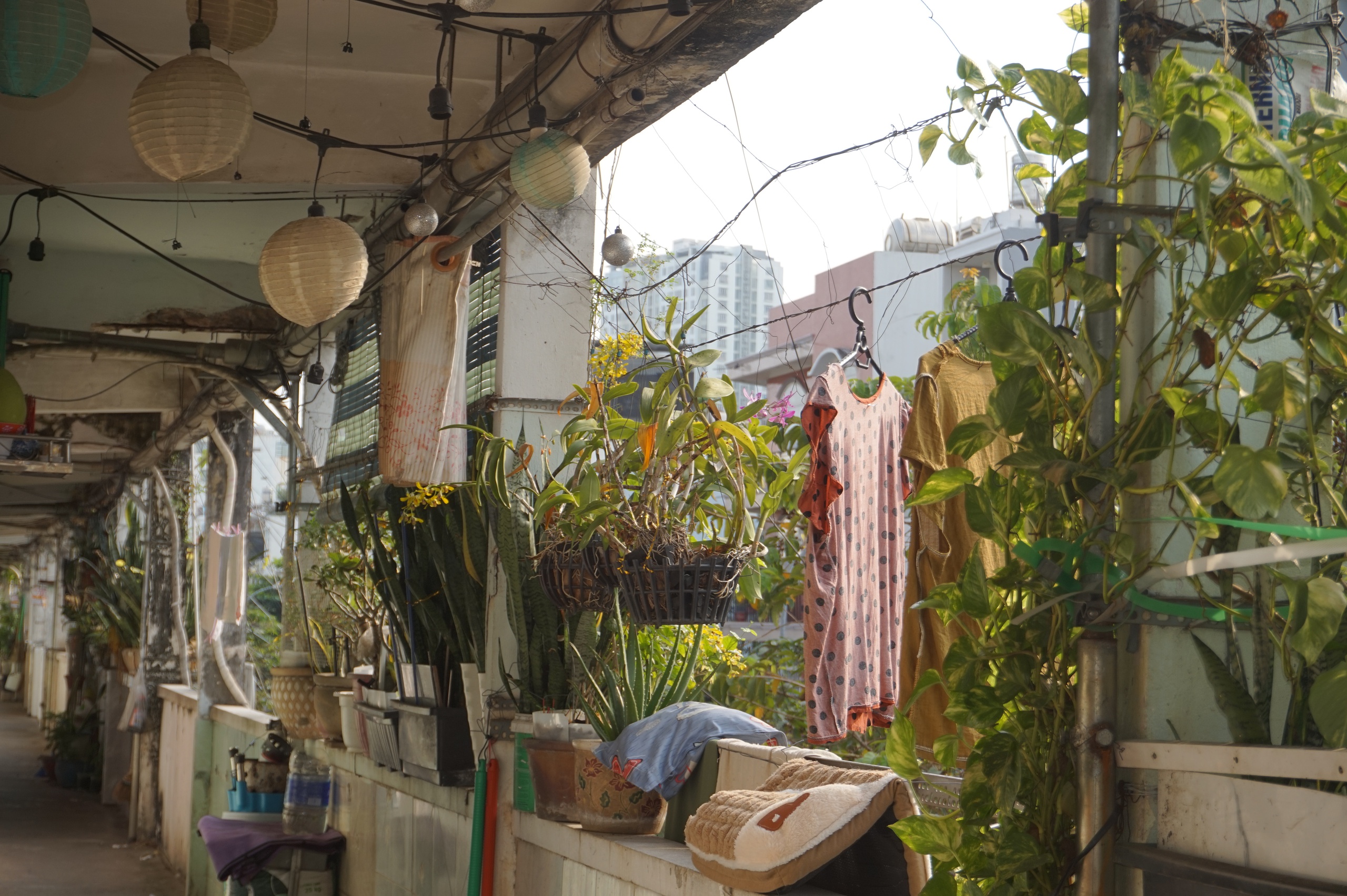 Bảo tàng sống giữa lòng TP HCM và thực trạng chung cư cấp D - Ảnh 6. Bảo tàng sống giữa lòng TP HCM và thực trạng chung cư cấp D - Ảnh 6.