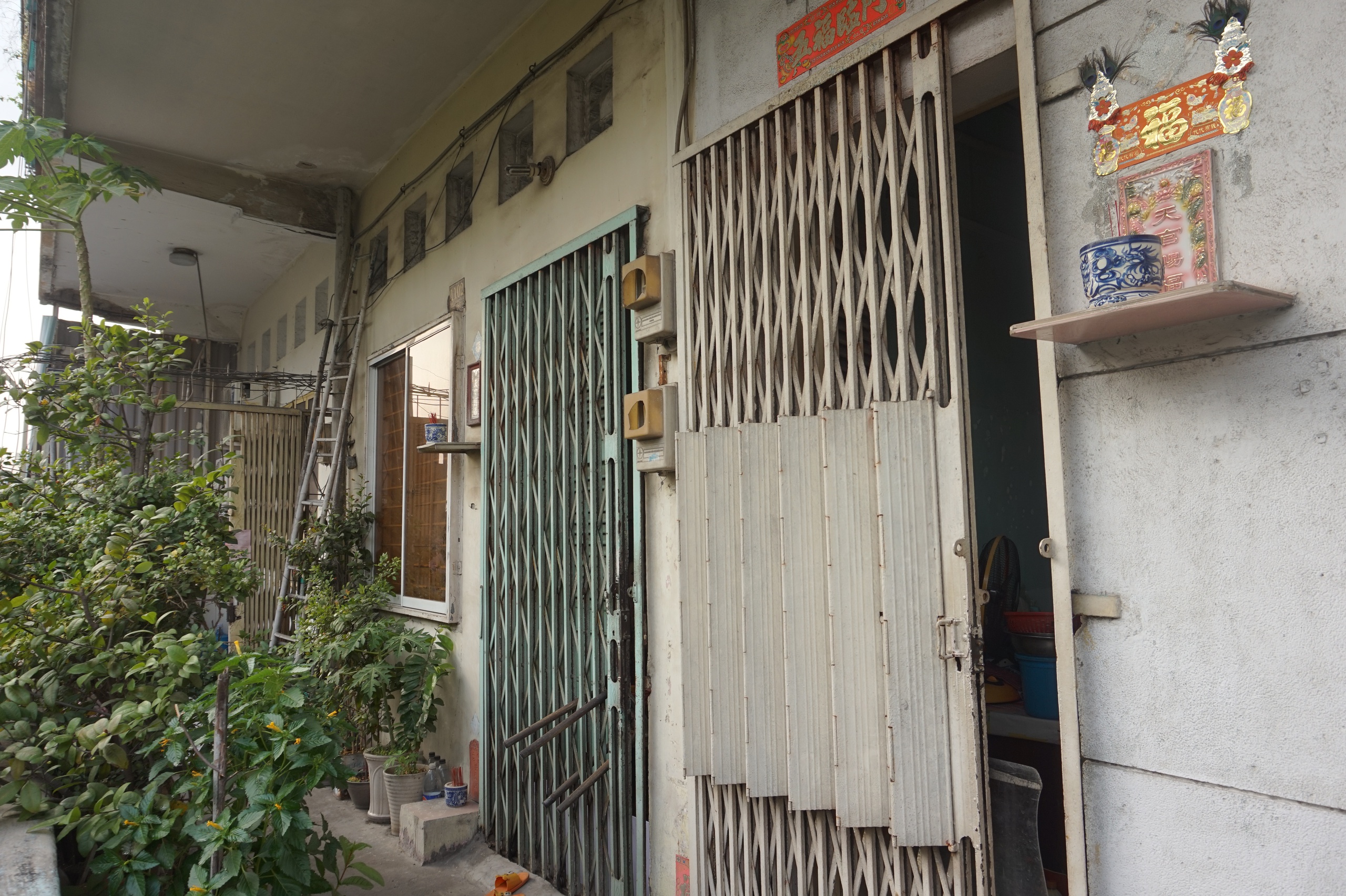 Bảo tàng sống giữa lòng TP HCM và thực trạng chung cư cấp D - Ảnh 7. Bảo tàng sống giữa lòng TP HCM và thực trạng chung cư cấp D - Ảnh 7.