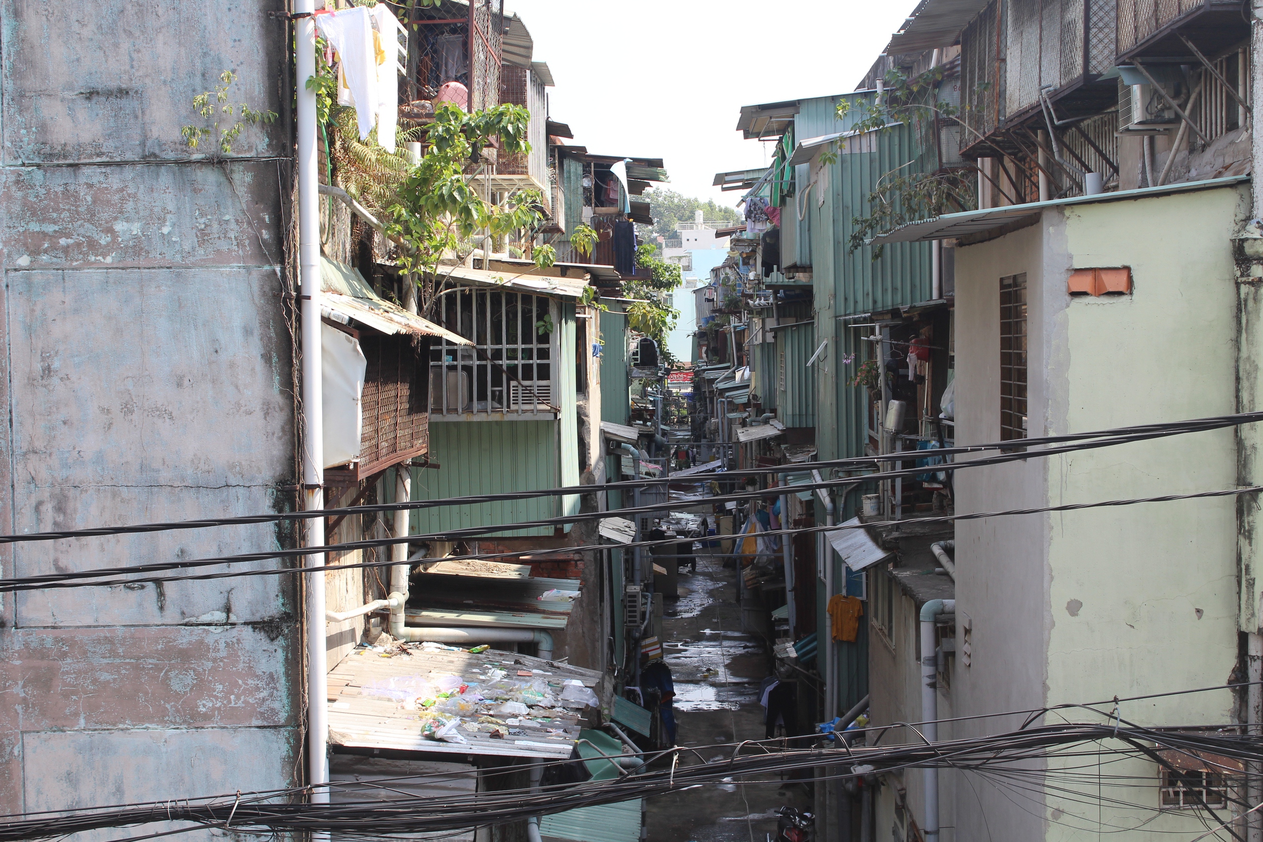 Bảo tàng sống giữa lòng TP HCM và thực trạng chung cư cấp D - Ảnh 2. Bảo tàng sống giữa lòng TP HCM và thực trạng chung cư cấp D - Ảnh 2.