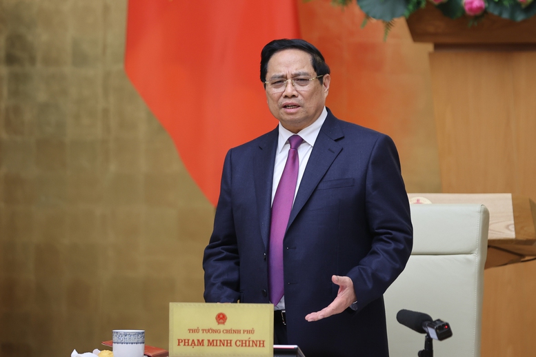 Thủ tướng chỉ đạo khởi tố vụ án lô hàng cá cờ kiếm vi phạm EC - Ảnh 1.