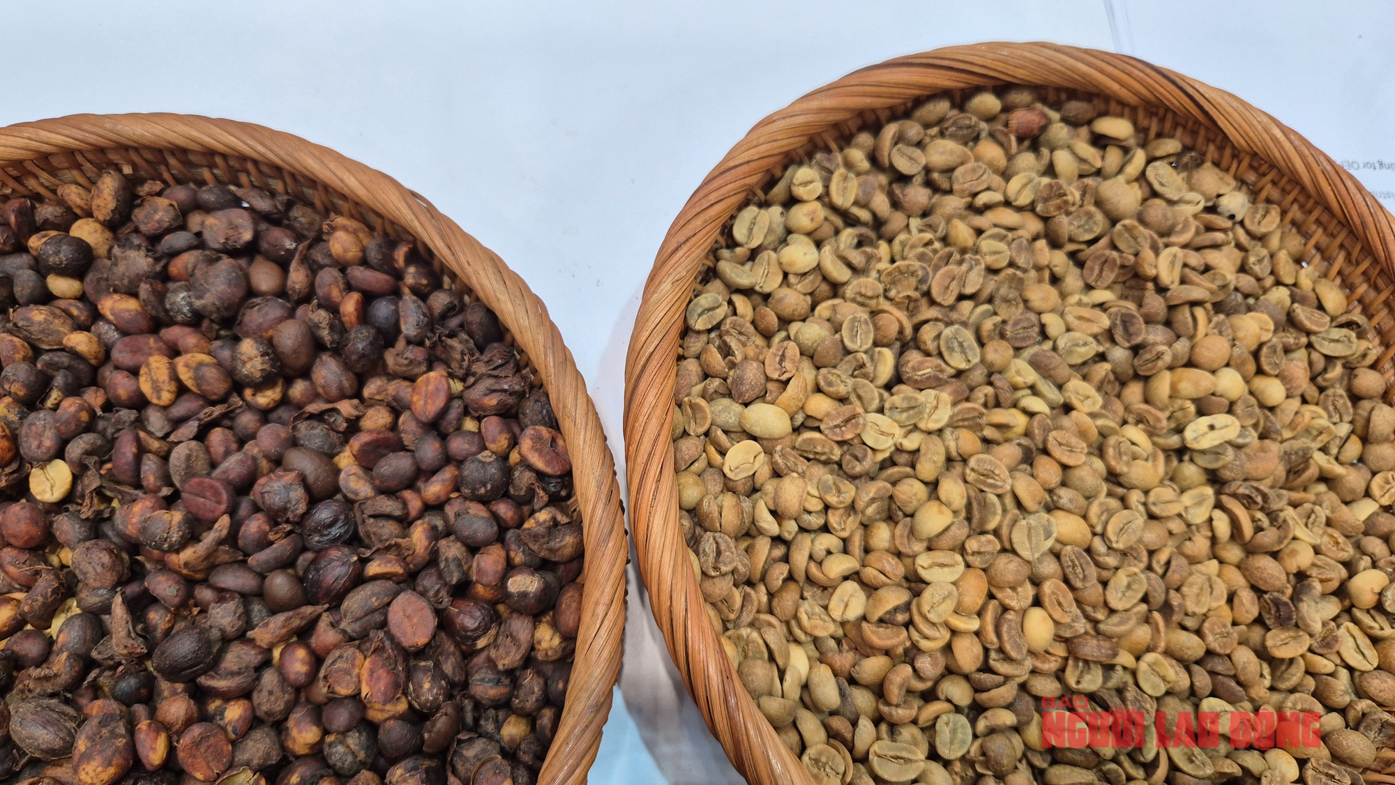 Giá cà phê hôm nay 19-12: Giảm phiên thứ 6 liên tiếp - Ảnh 1.