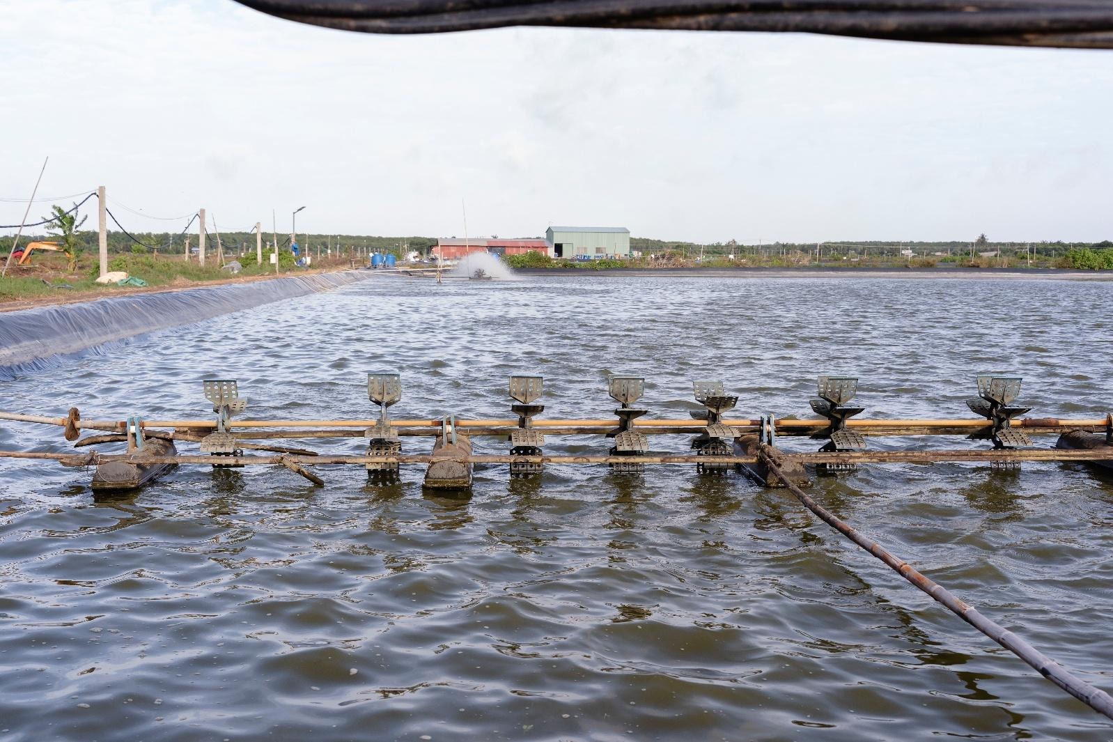 Quỹ Coca-Cola và IUCN chung tay tăng cường sức chống chịu vùng ven biển - Ảnh 2.