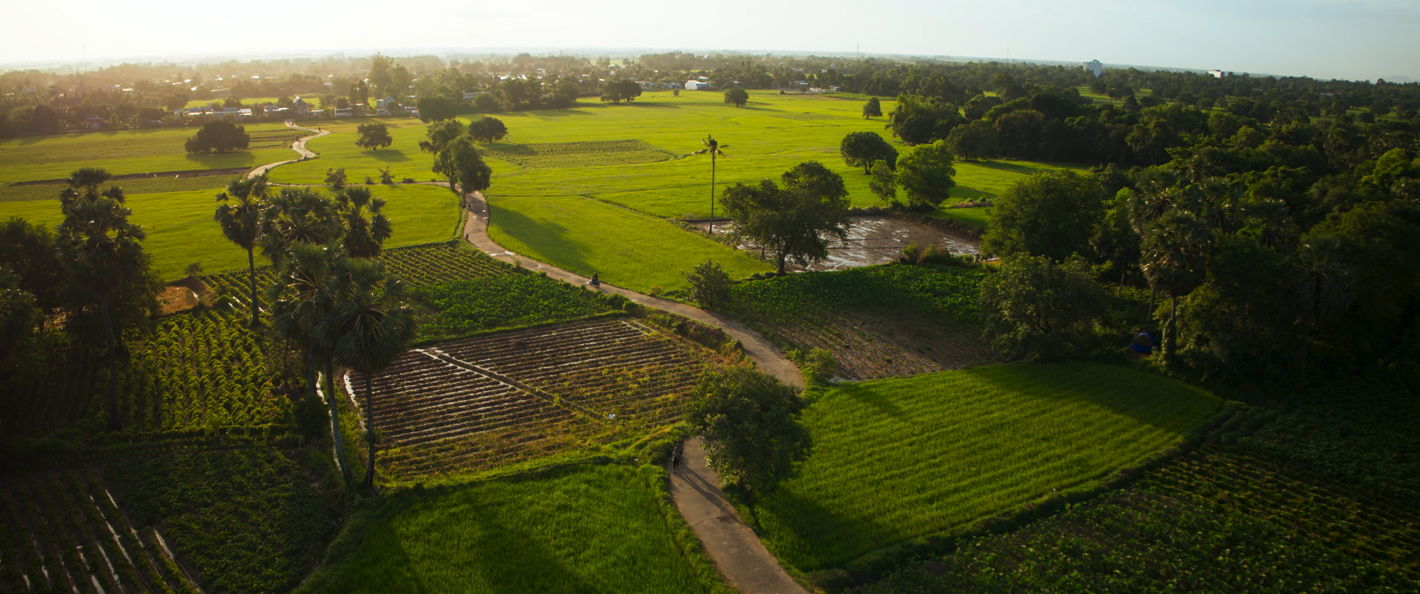 Mỹ Tâm bật mí lý do làm phim Mai Tài Phến đạo diễn - Ảnh 2.