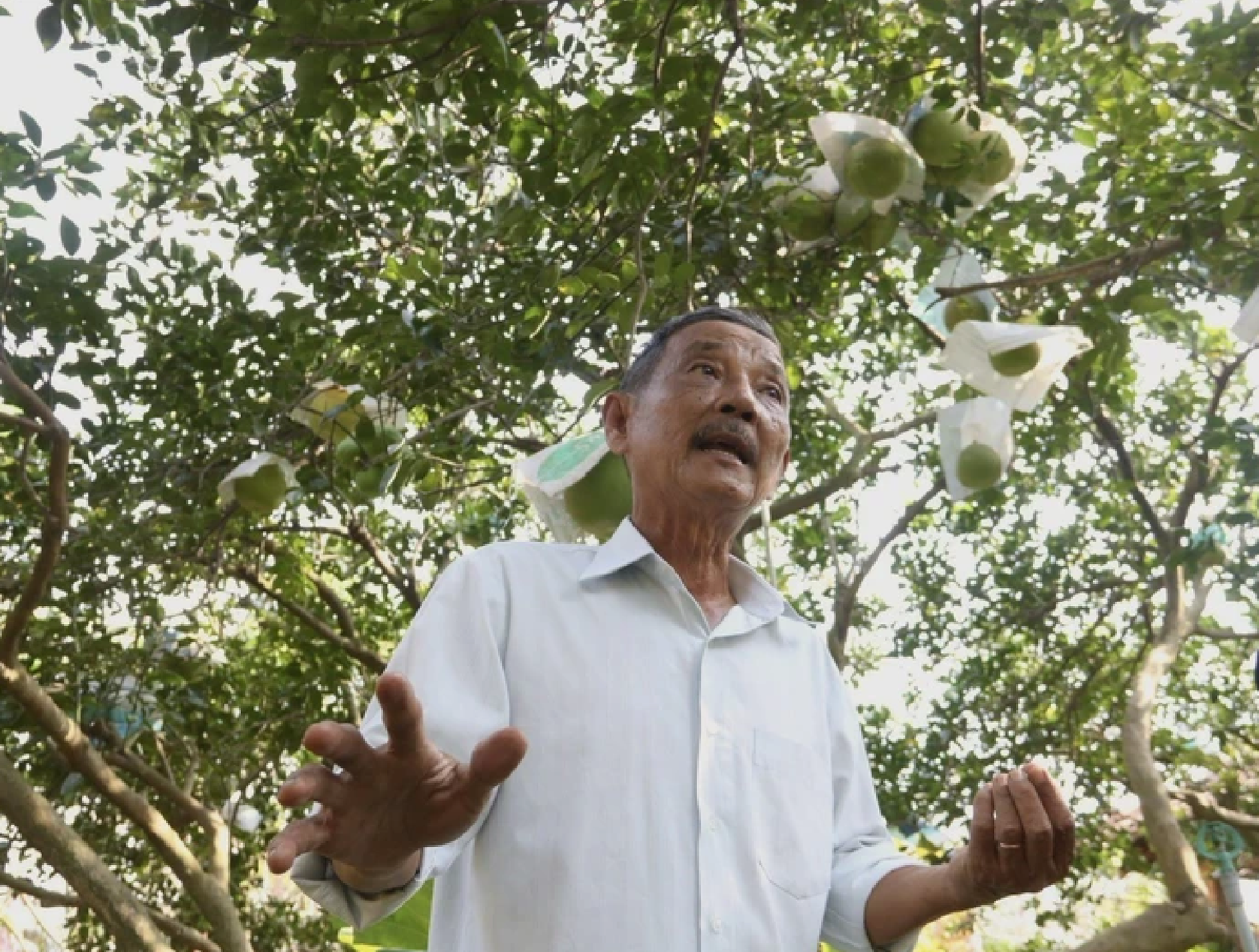 Công nghệ giúp người nông dân làm giàu nhanh hơn - Ảnh 2.