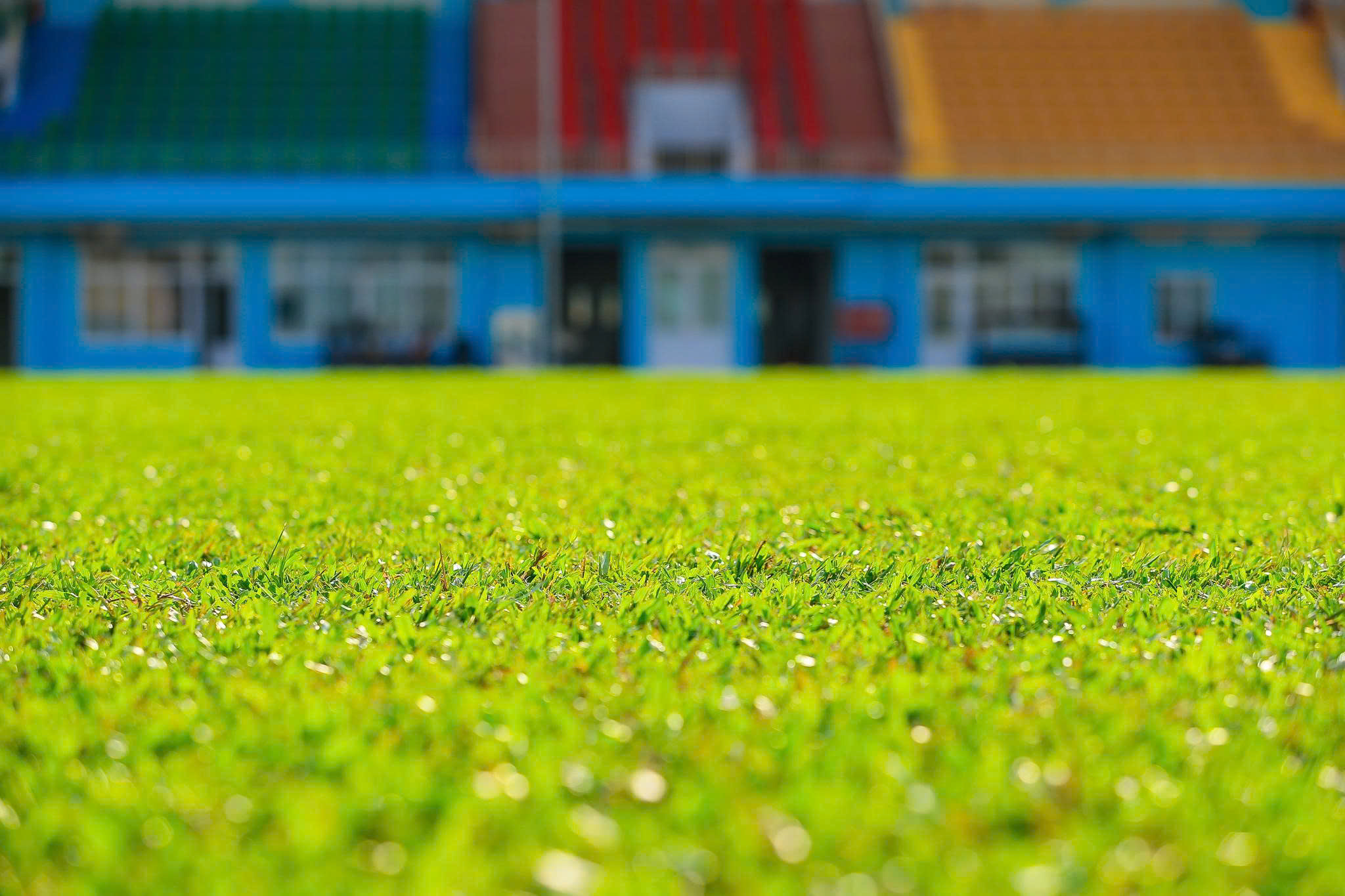 Diện mạo mới của sân Hoa Lư - Ảnh 2.