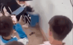 Nữ sinh lớp 7 bị đánh hội đồng trong trường học: Nhà trường lên tiếng - Ảnh 1.