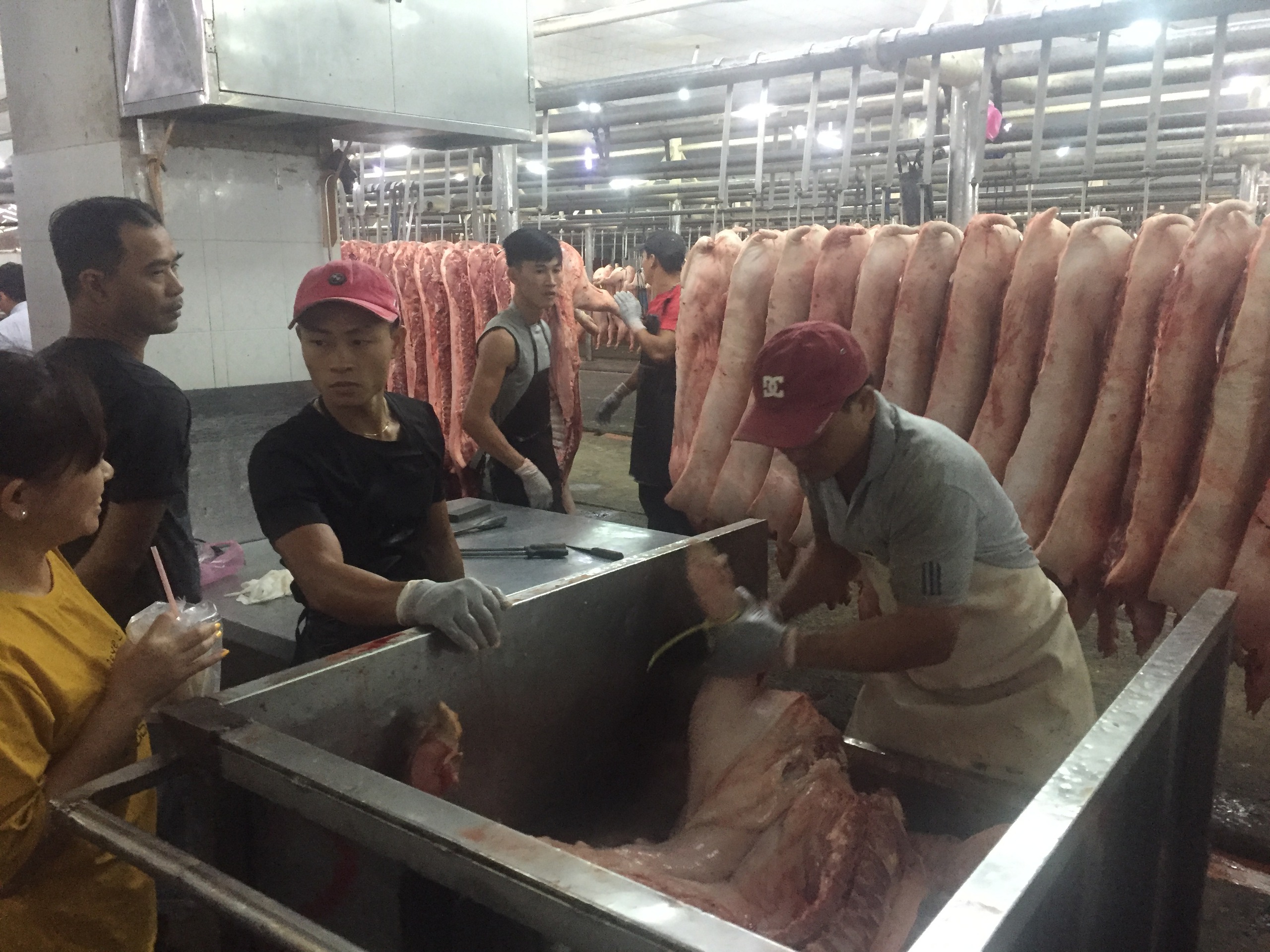 Giá heo hơi hôm nay, 2-12: Lập đỉnh mới - Ảnh 1.