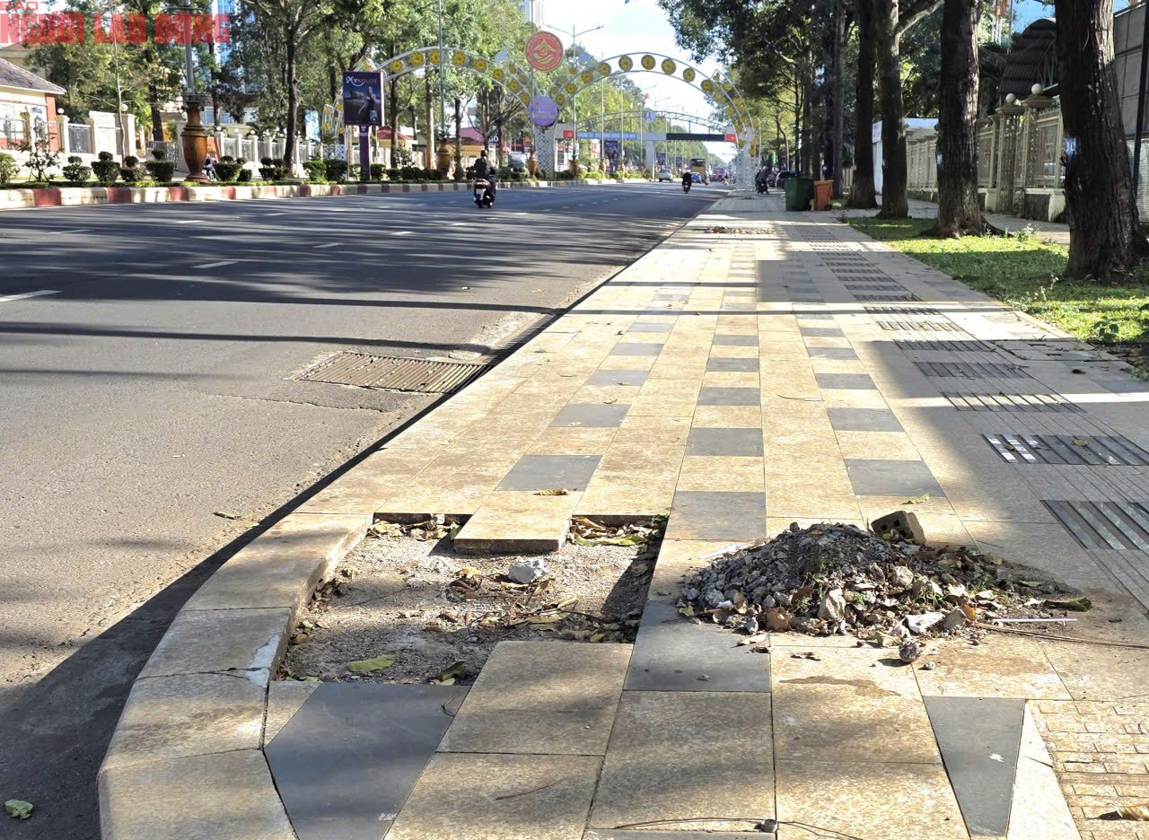 Vỉa h&egrave; Đắk Lắk vừa l&aacute;t đ&aacute; tự nhi&ecirc;n lại bị đ&agrave;o xới g&acirc;y l&atilde;ng ph&iacute; - Ảnh 9.