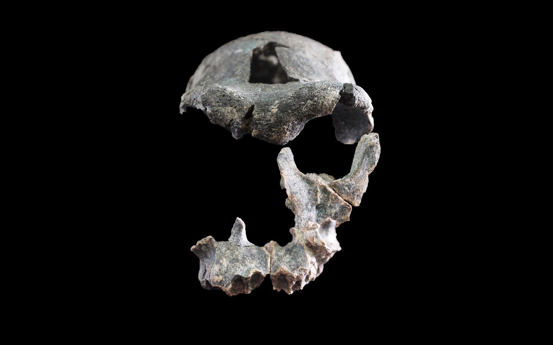 Ph&aacute;t hiện 20 bộ h&agrave;i cốt b&iacute; ẩn trong Th&aacute;p London - Ảnh 2.