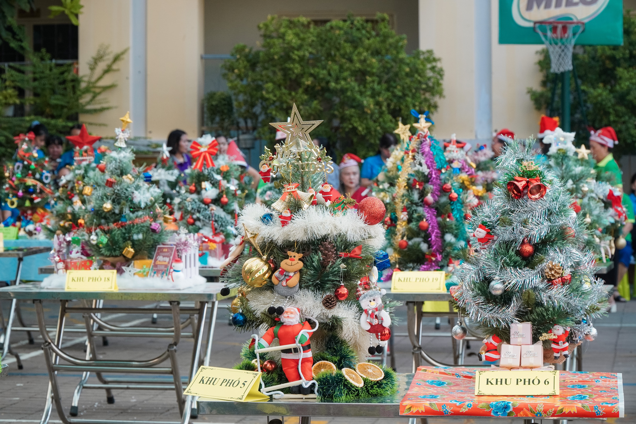 Phường Nhiêu Lộc "lên đèn" đón Giáng sinh bằng hội thi trang trí cây thông - Ảnh 15.