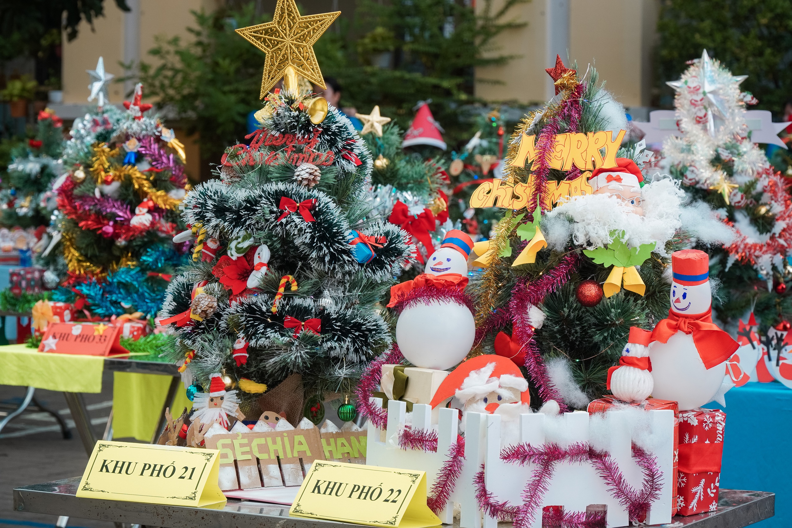 Phường Nhiêu Lộc "lên đèn" đón Giáng sinh bằng hội thi trang trí cây thông - Ảnh 13.
