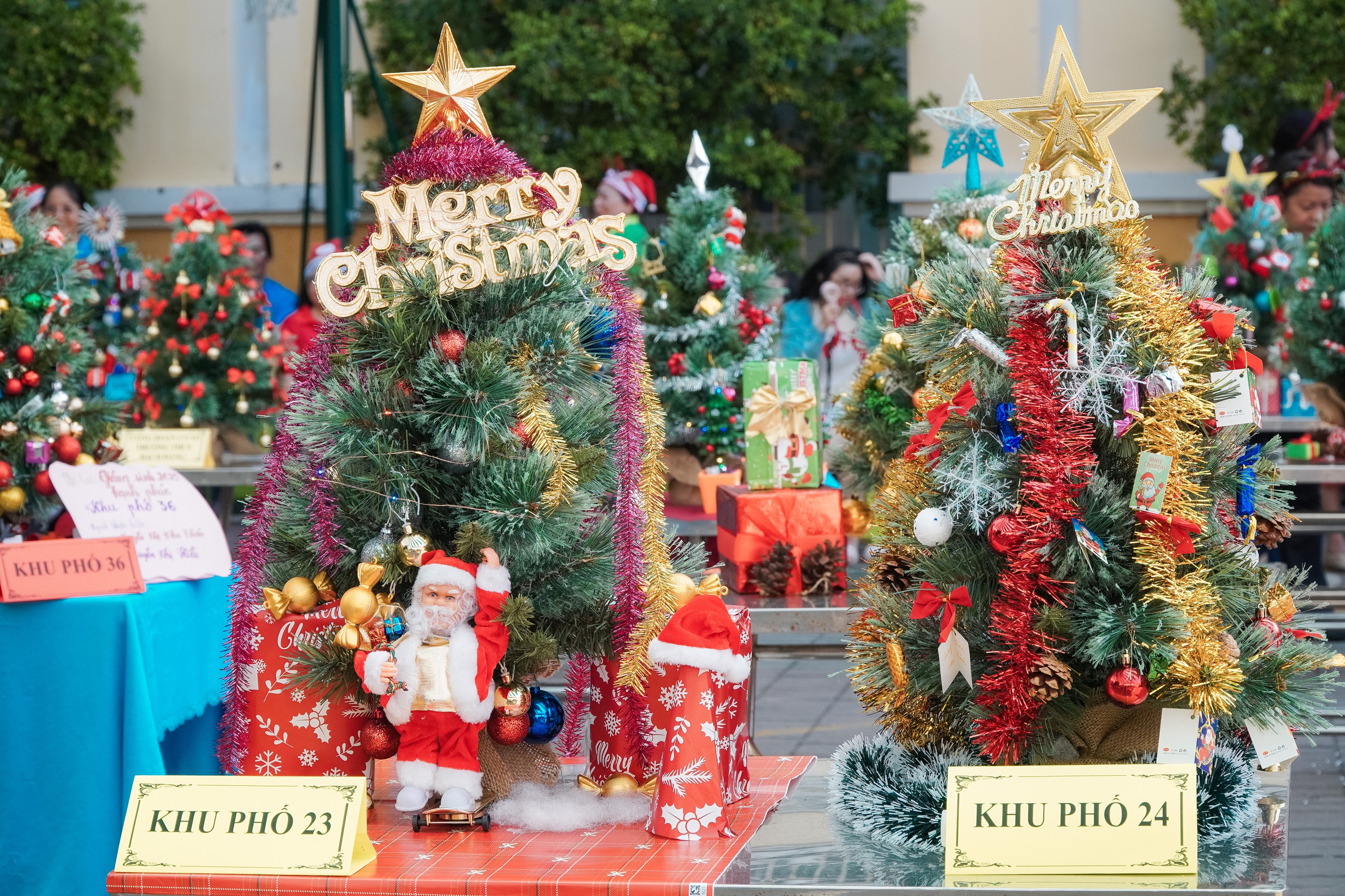 Phường Nhiêu Lộc "lên đèn" đón Giáng sinh bằng hội thi trang trí cây thông - Ảnh 9.